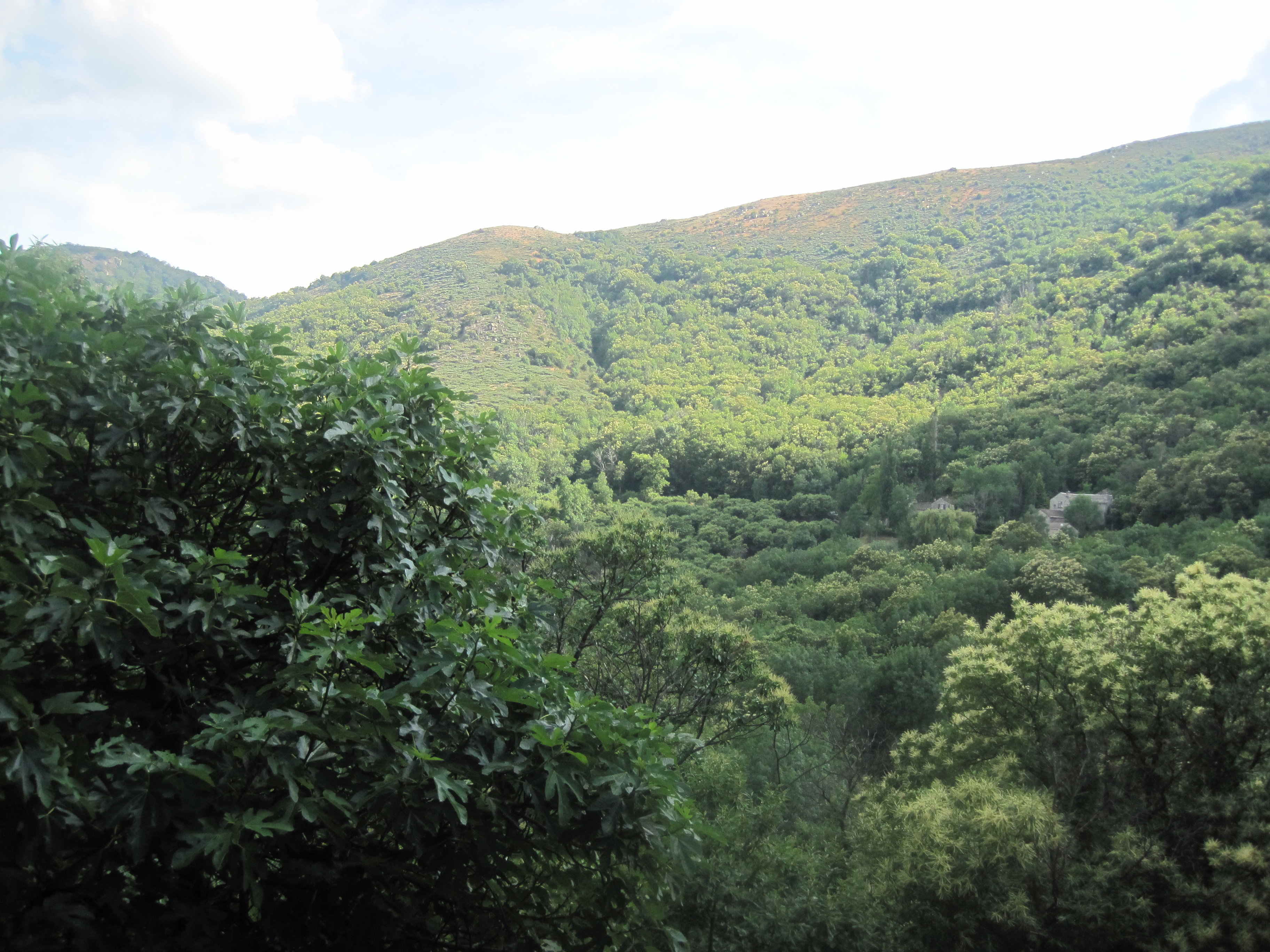 Natuurhuisje in Sablières  ( Le Mas )