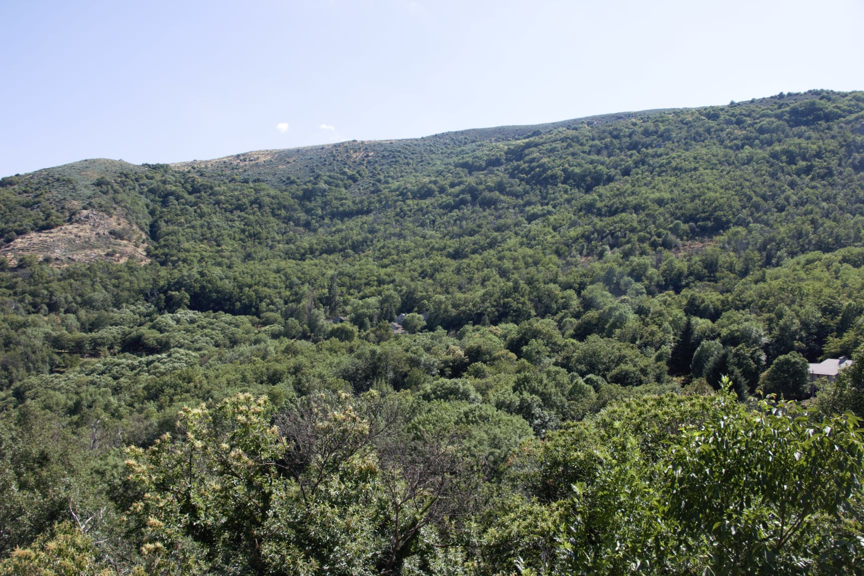 - image: 16