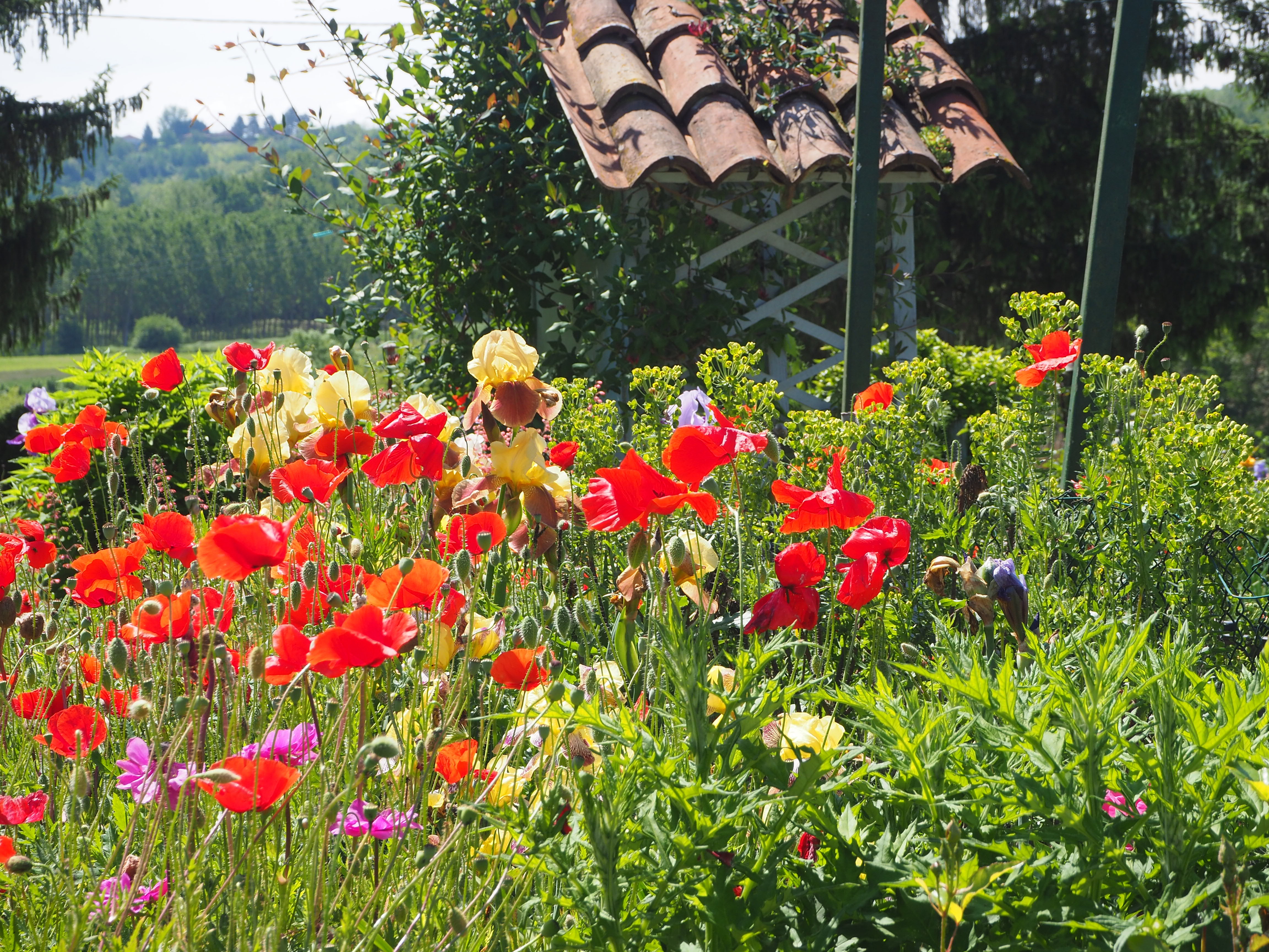 Casa nella natura a Belveglio