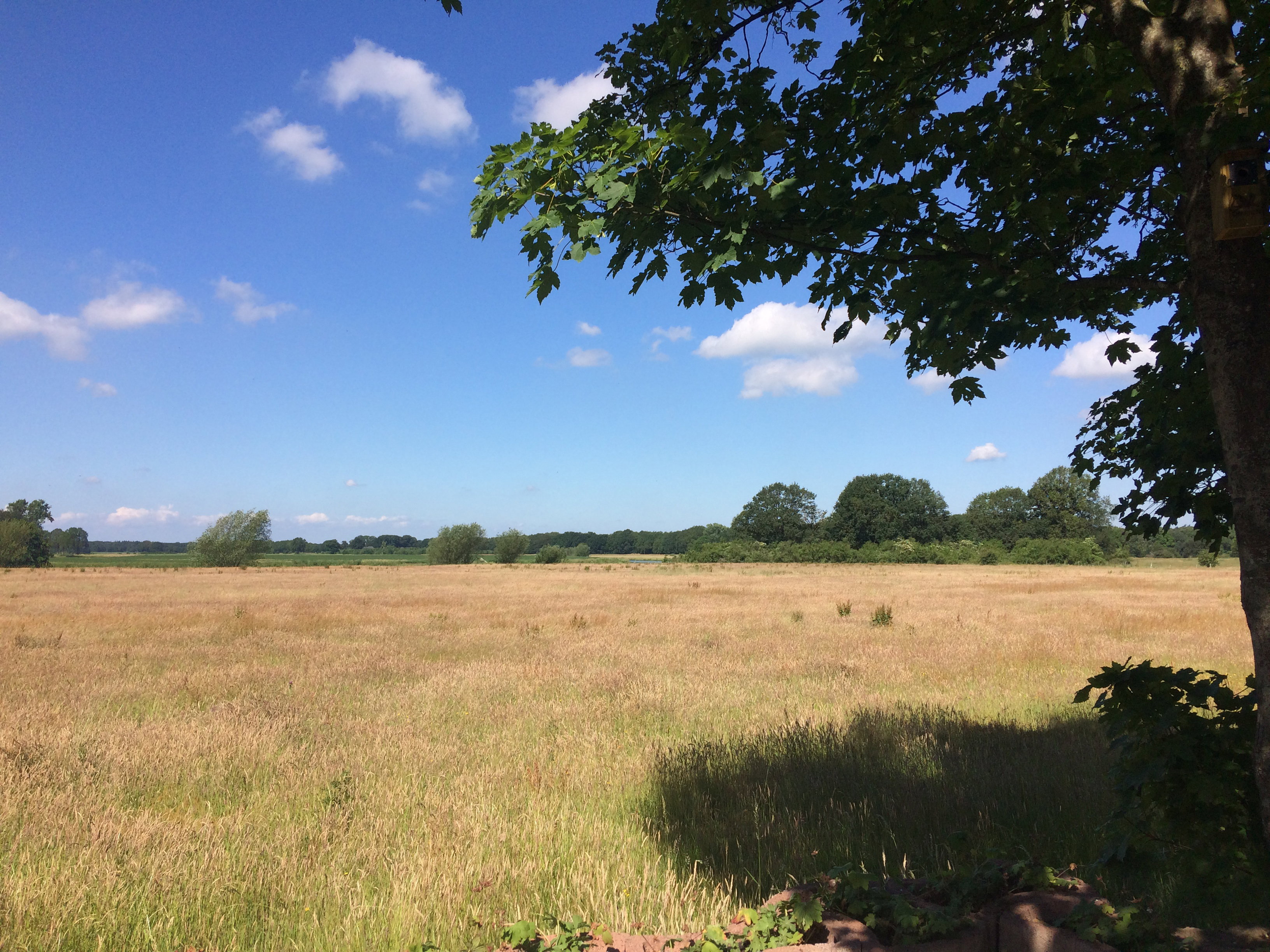 Natuurhuisje in Diffelen