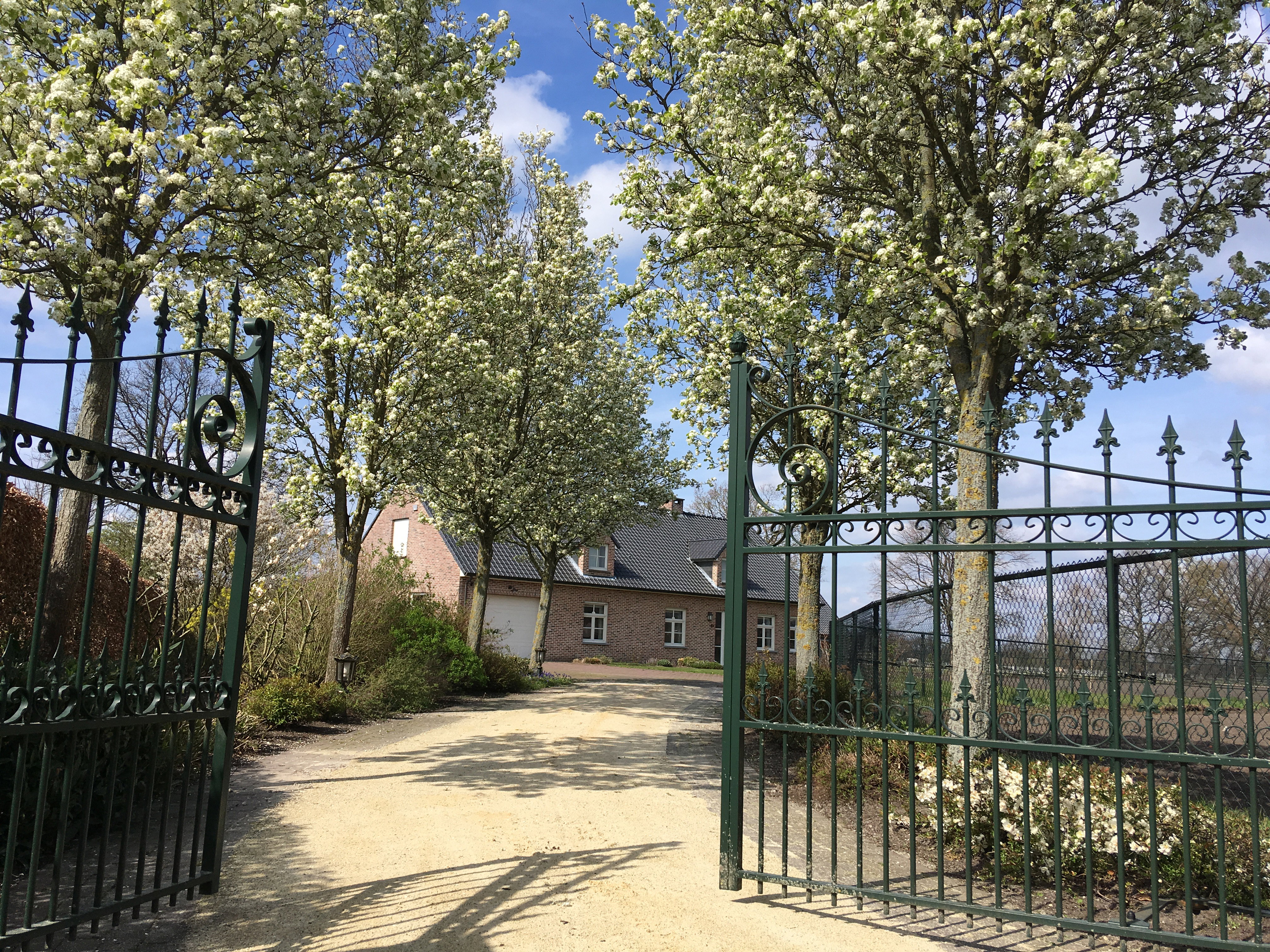 Maison nature à Pelt