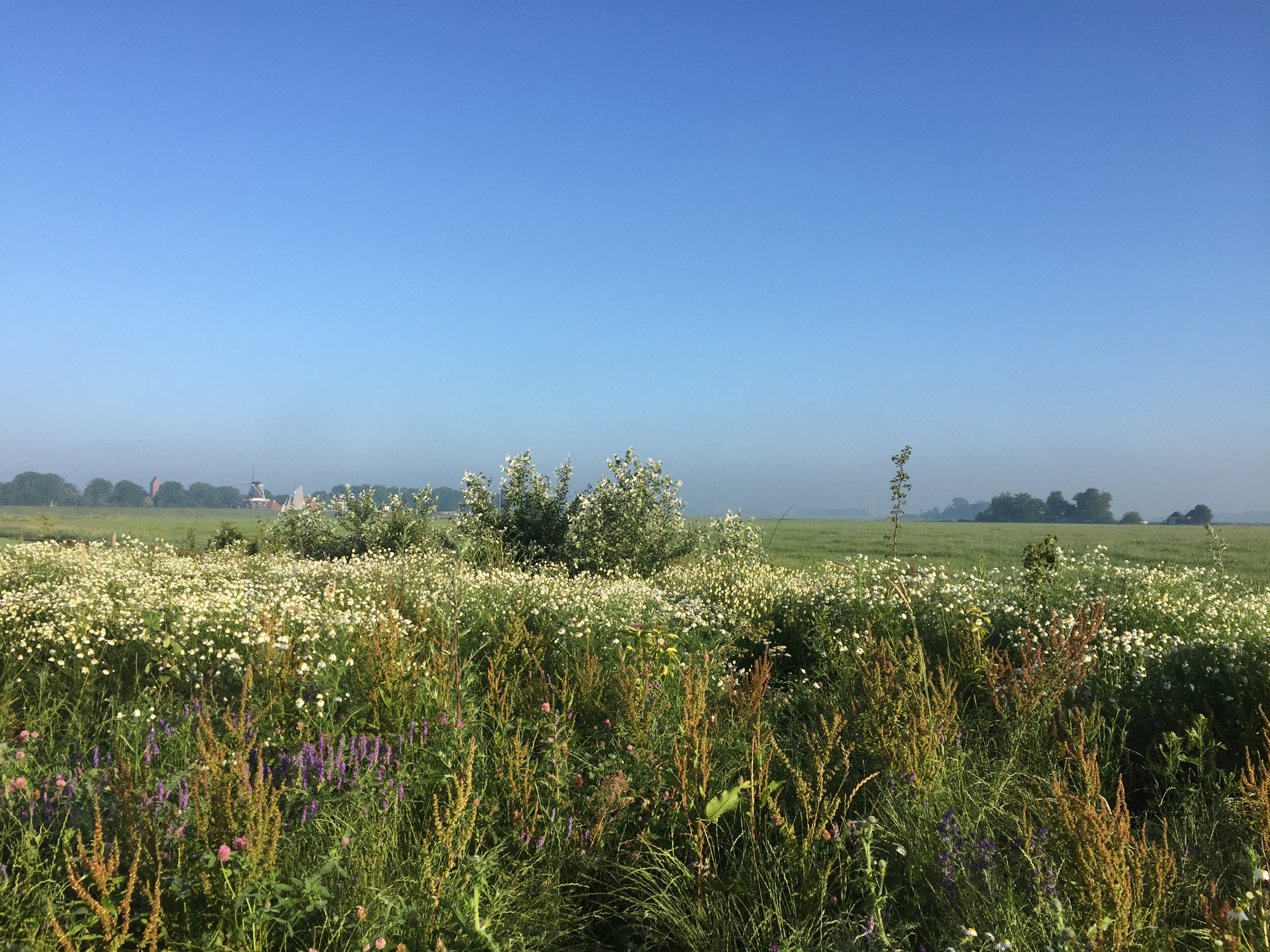 Naturhäuschen in Klein Garnwerd