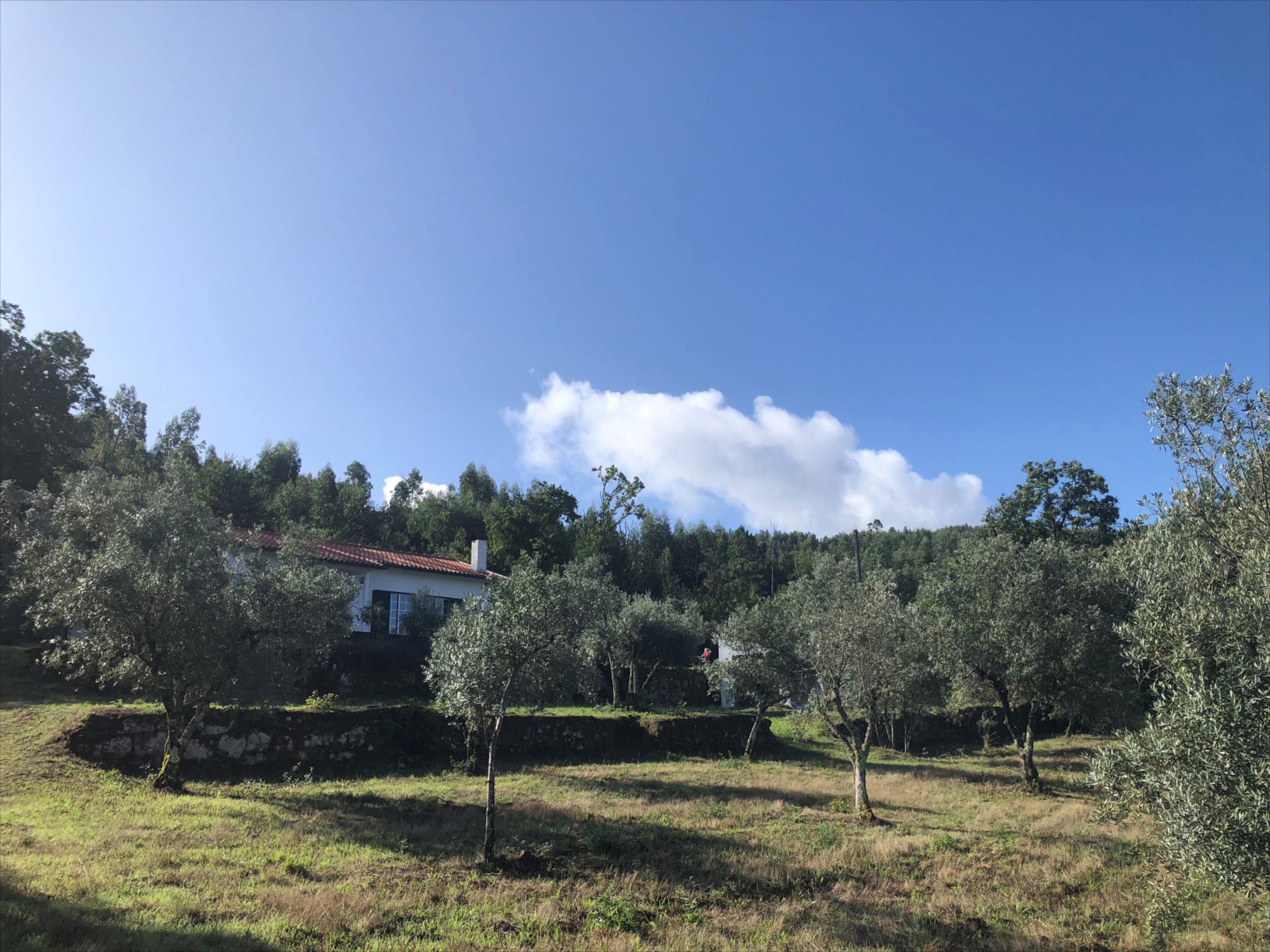 Naturhäuschen in Aldeia das Dez