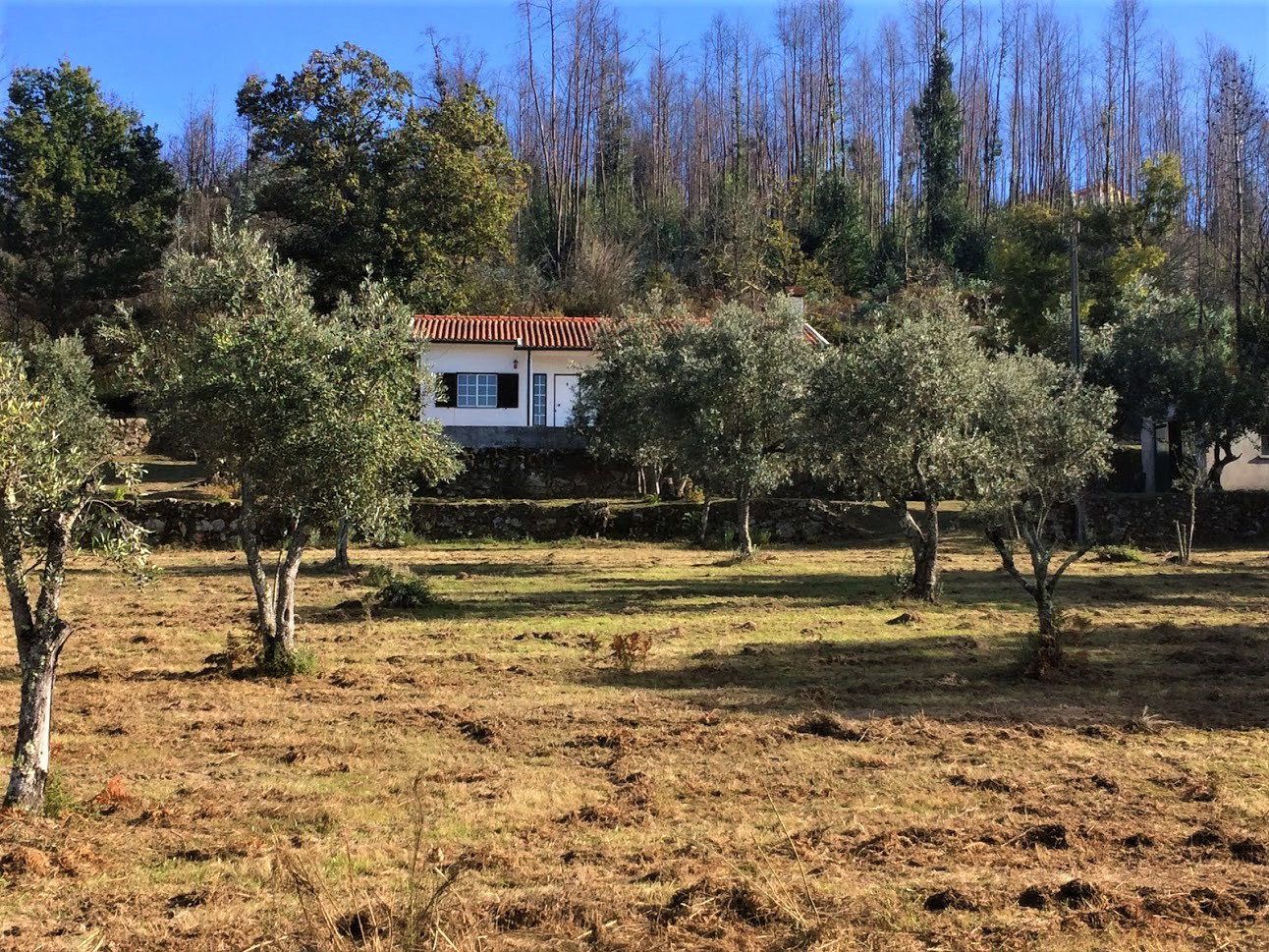 Naturhäuschen in Aldeia das Dez