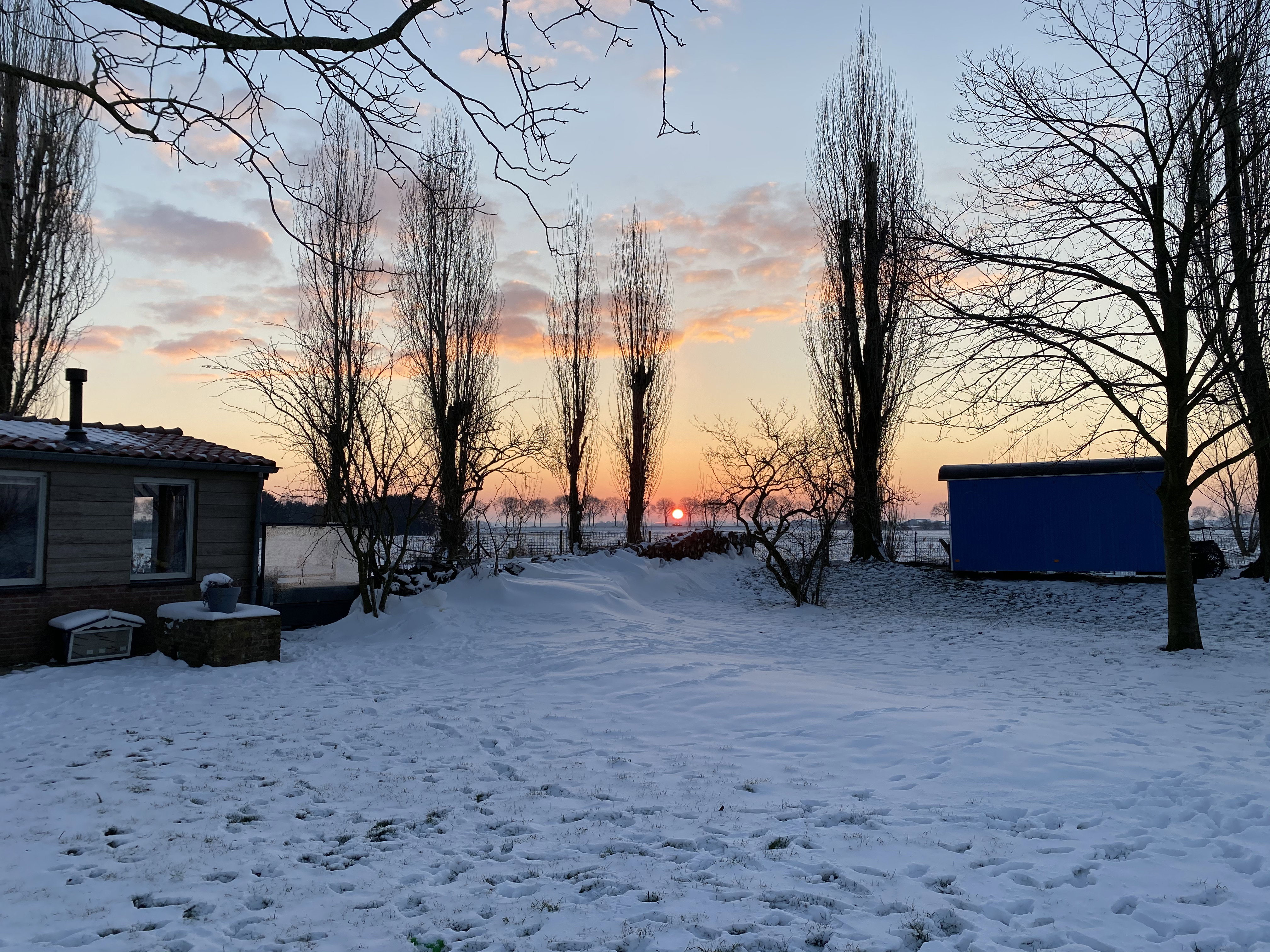 - image: 89