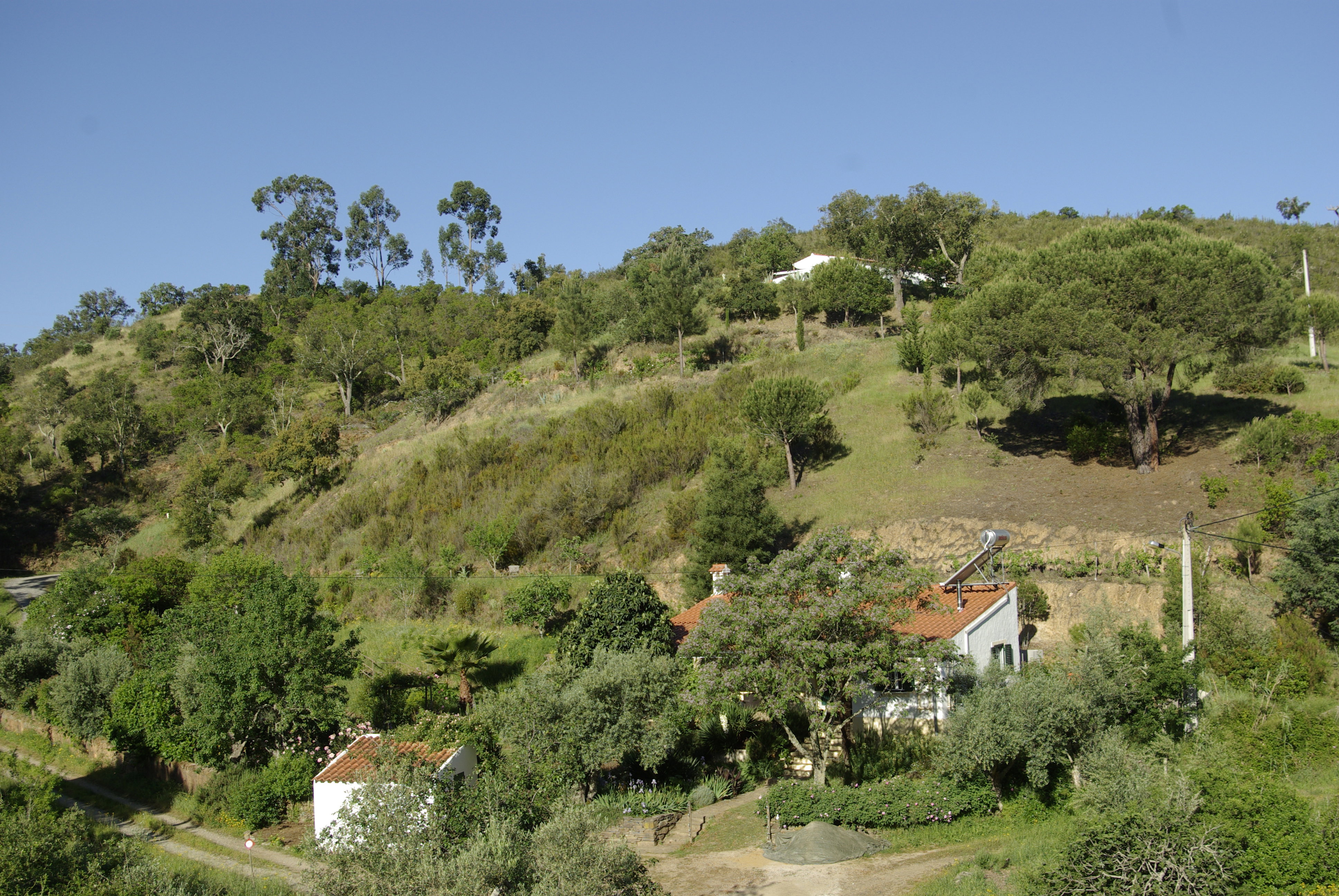 Natuurhuisje in Santana da Serra