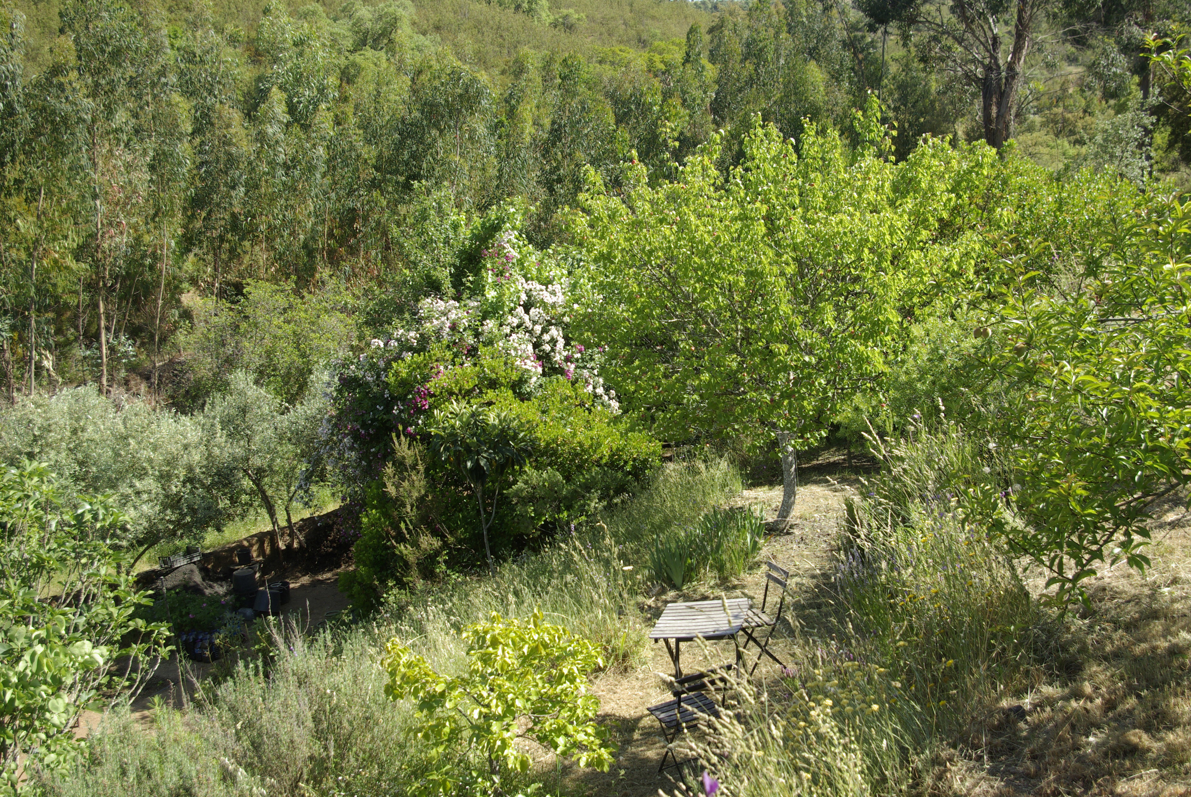 - image: 44