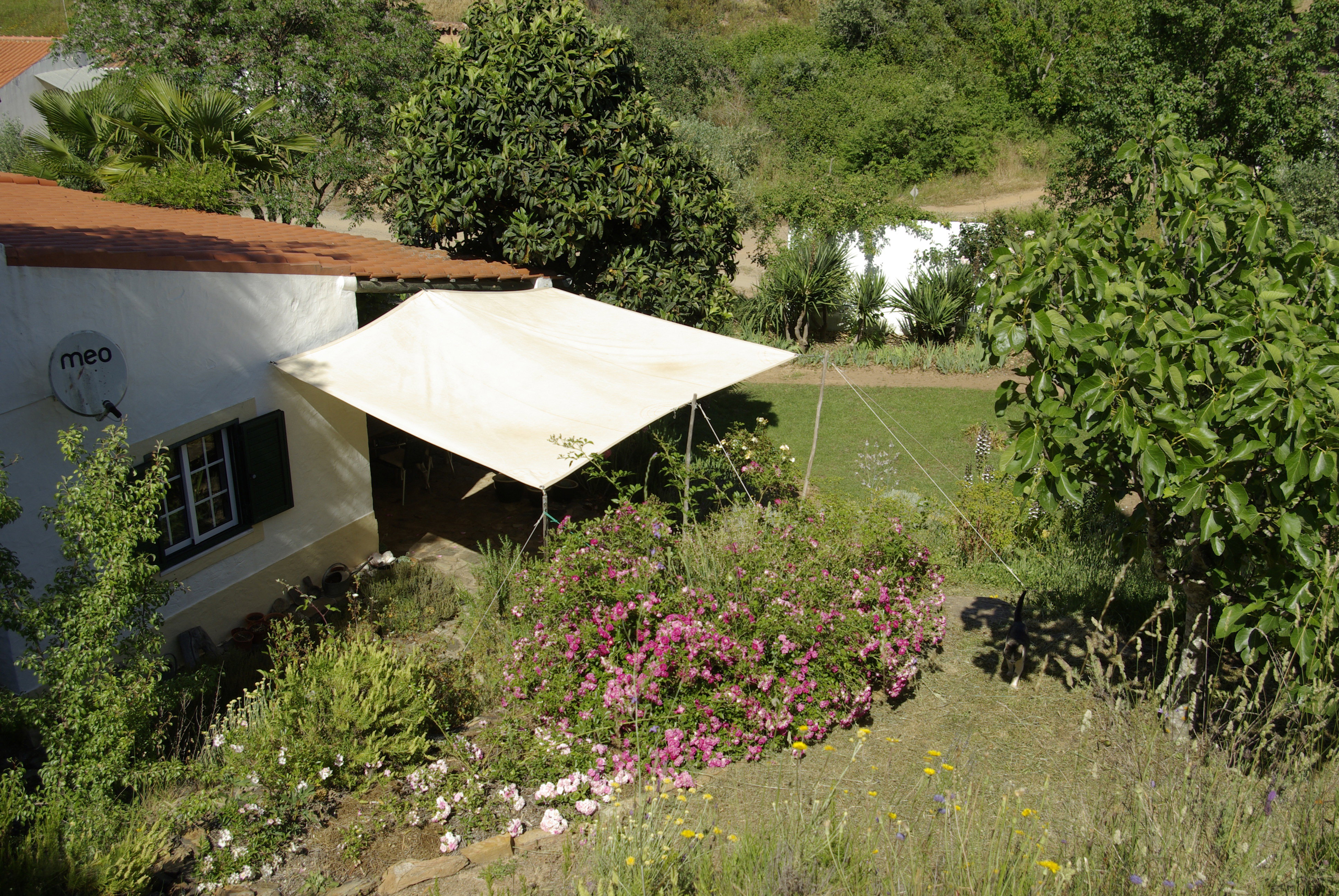 - image: 42