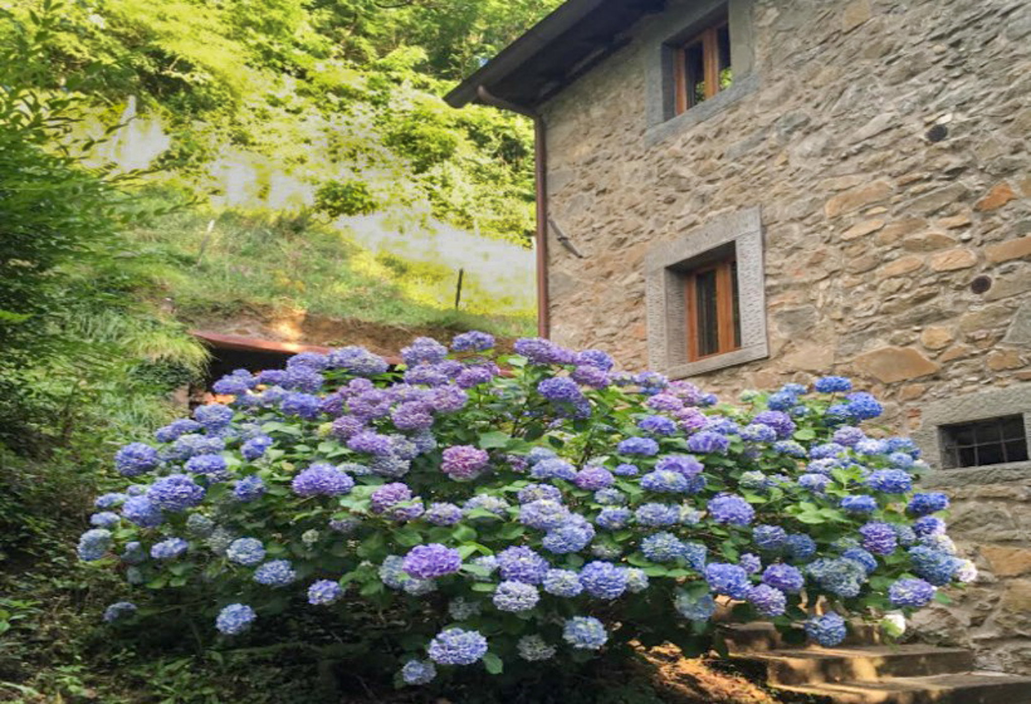 Natuurhuisje in Bagni di Lucca