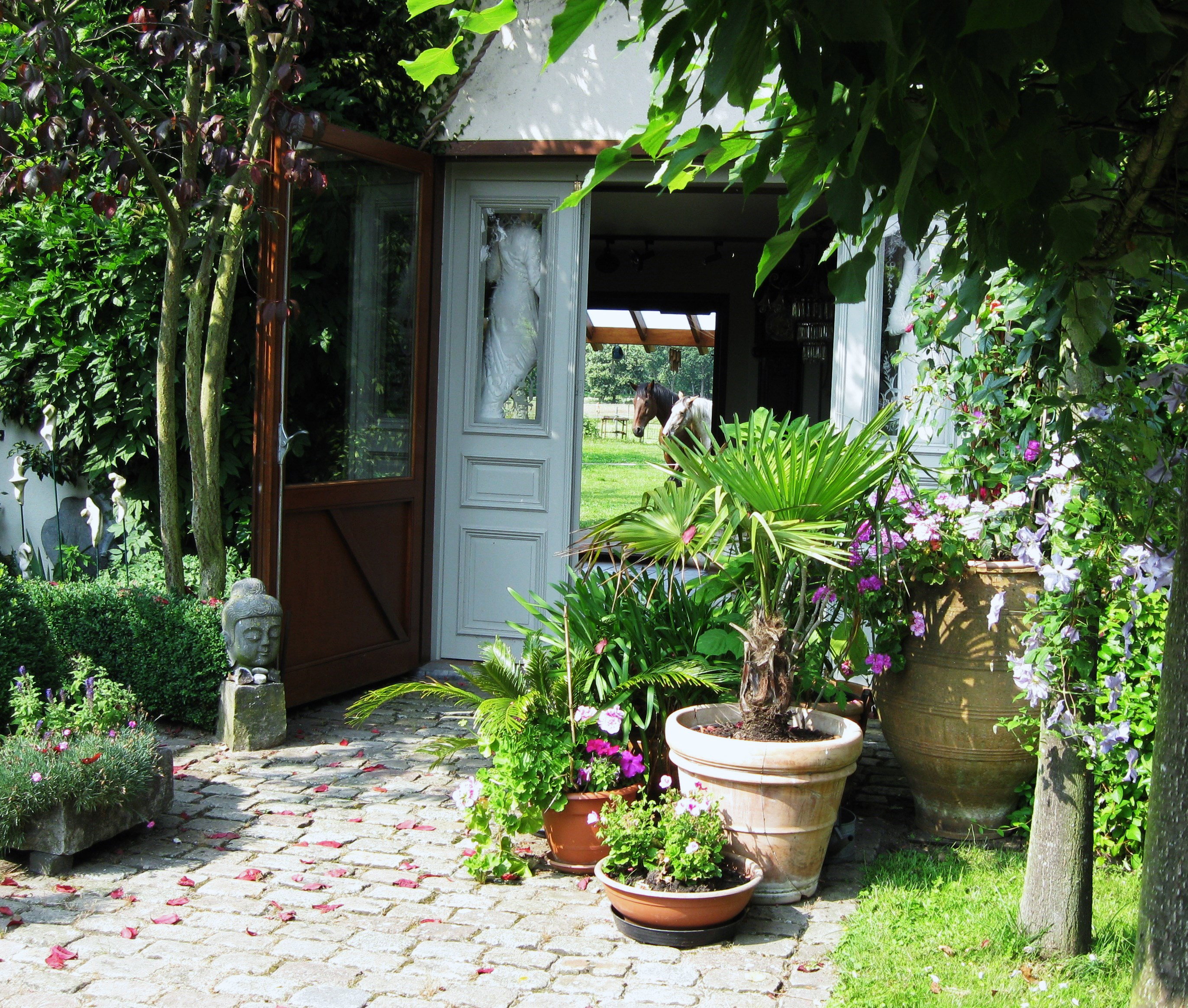 Maison nature à Zonhoven