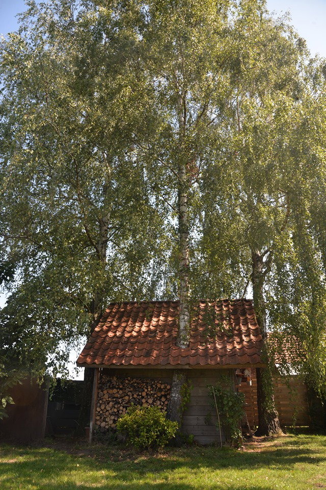 - image: 13