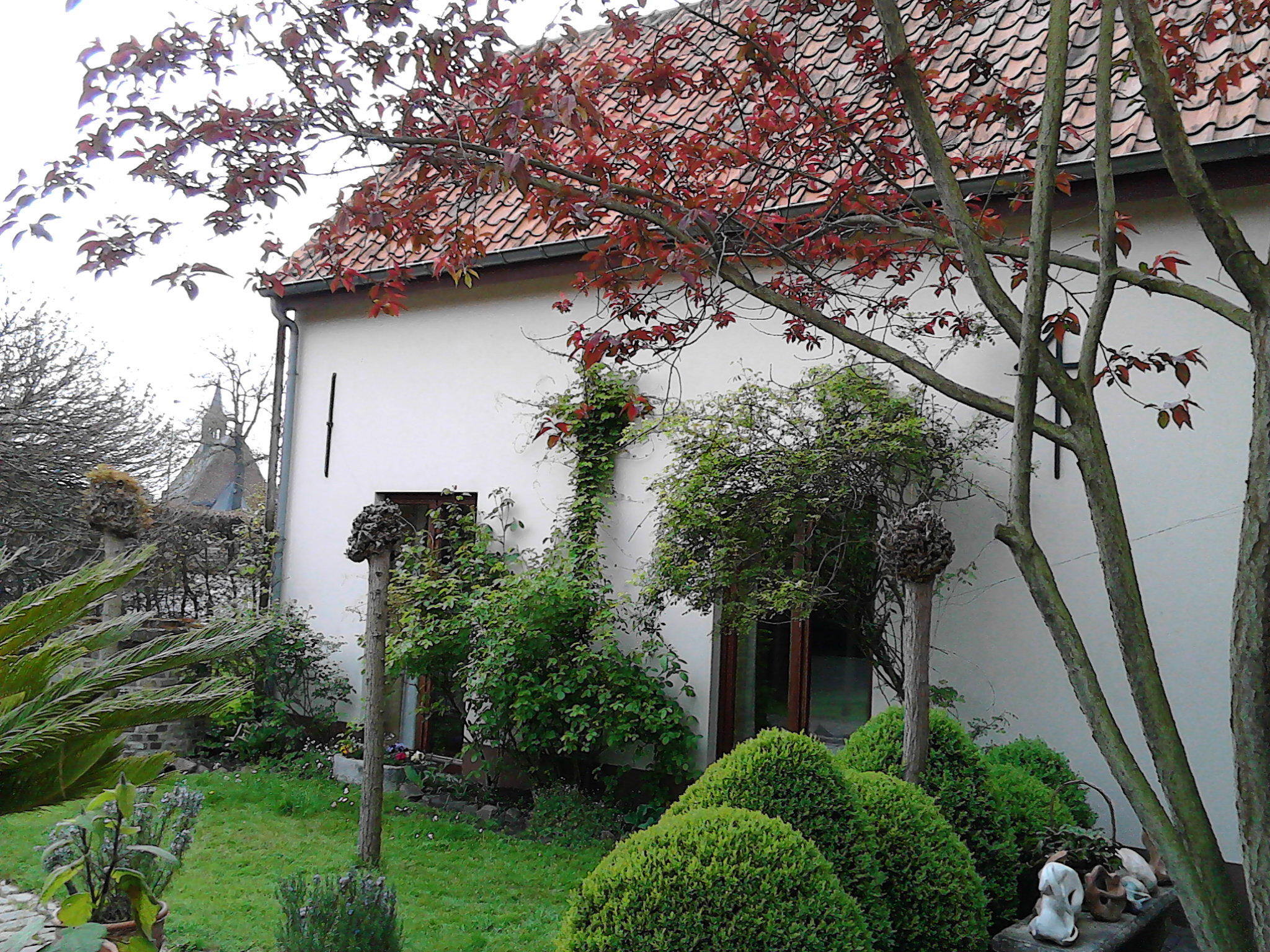 Maison nature à Zonhoven
