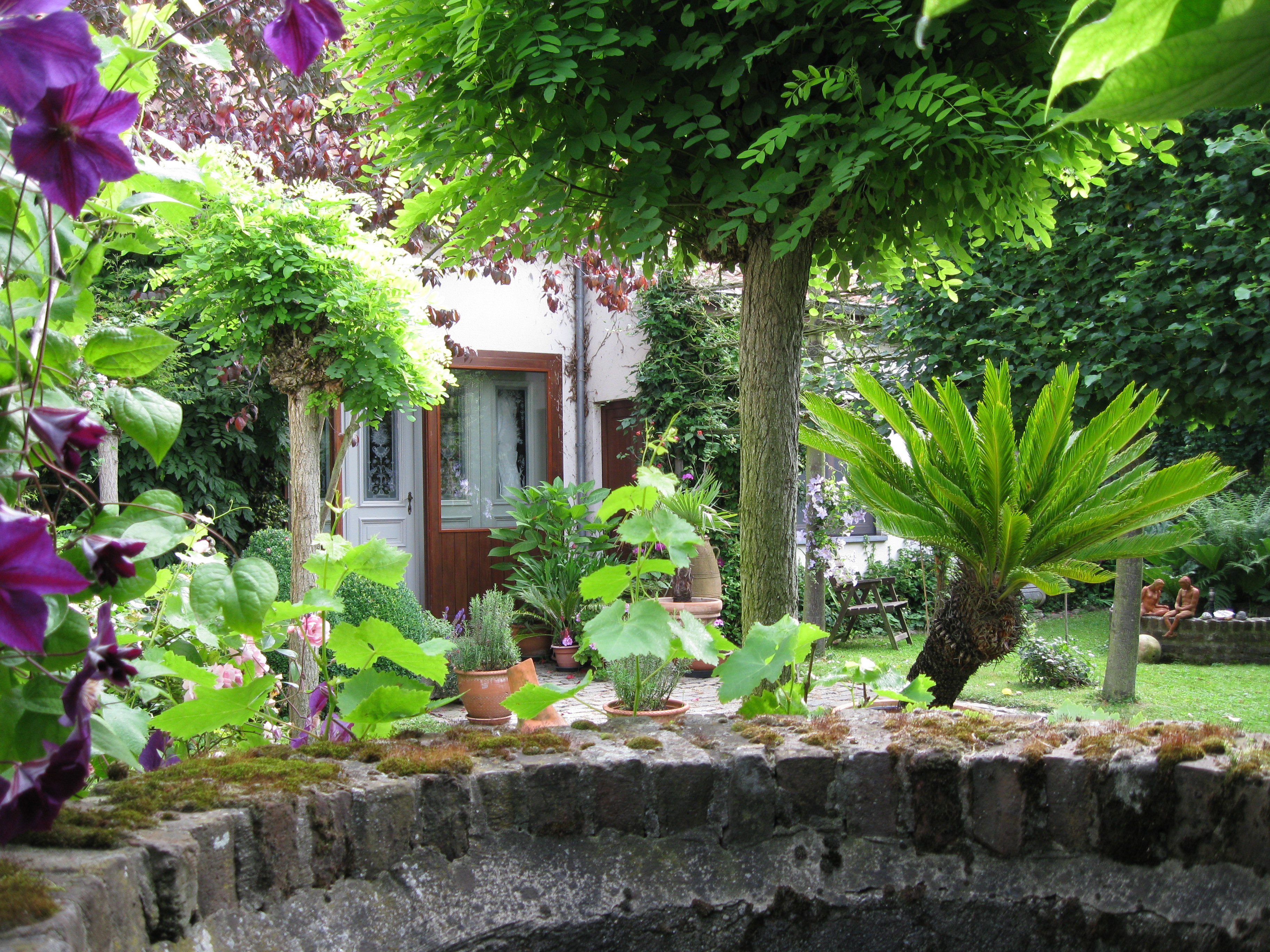 Maison nature à Zonhoven