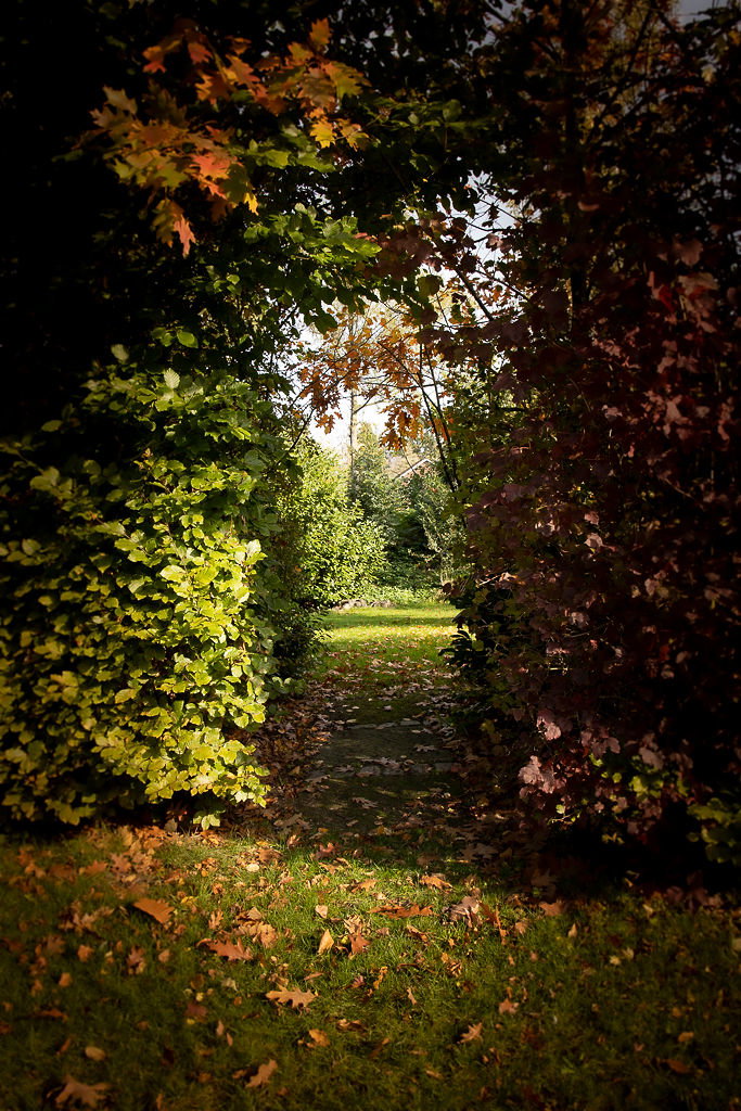 - image: 19