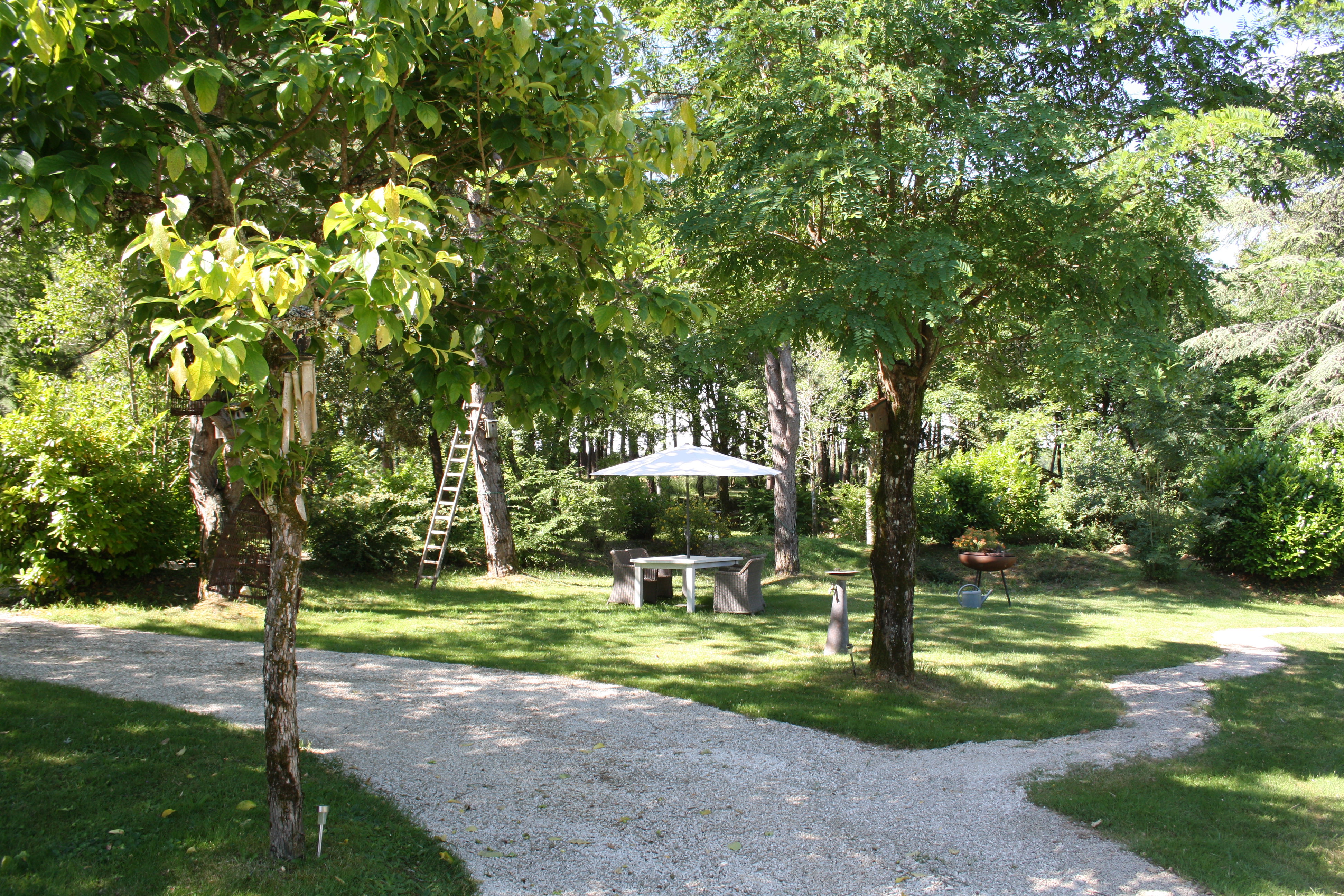 - image: 21