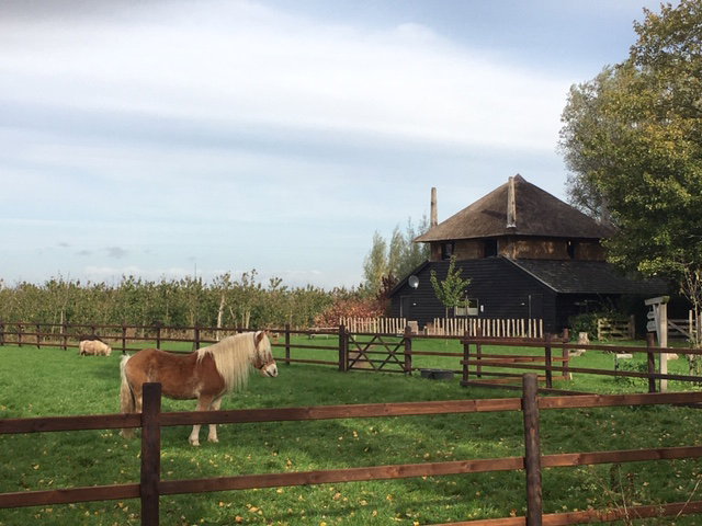 Natuurhuisje in Zoelen