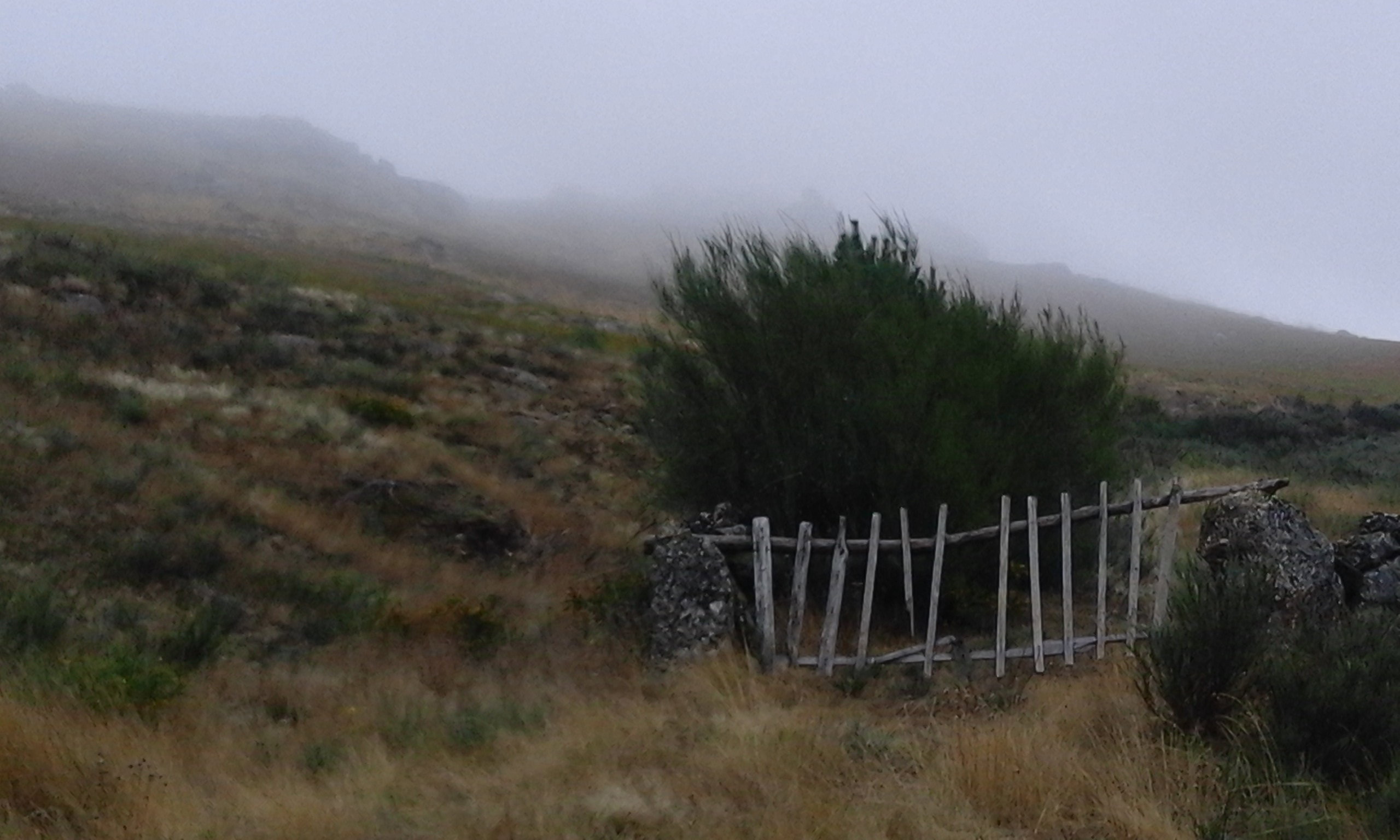 - image: 13