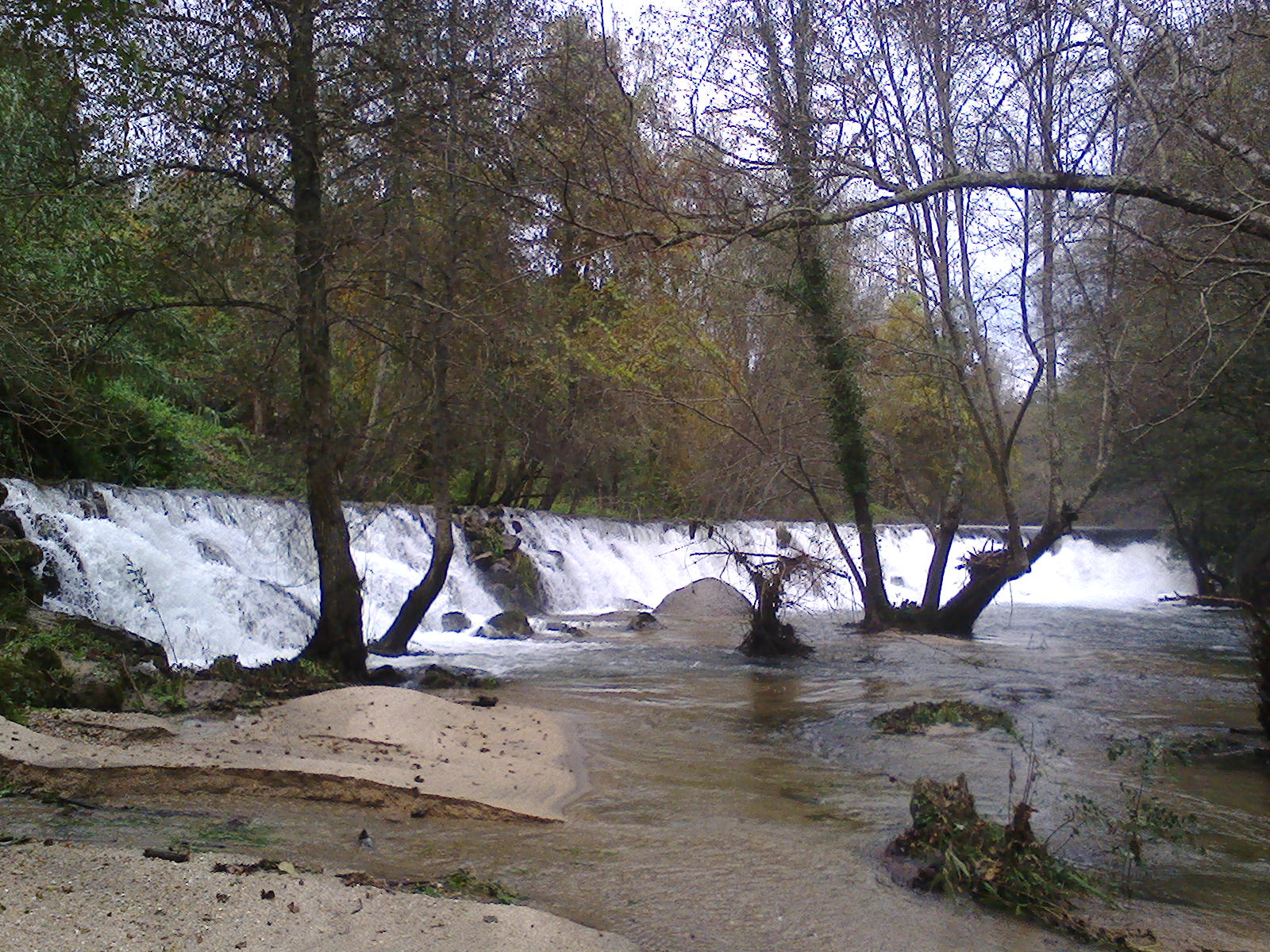 - image: 11