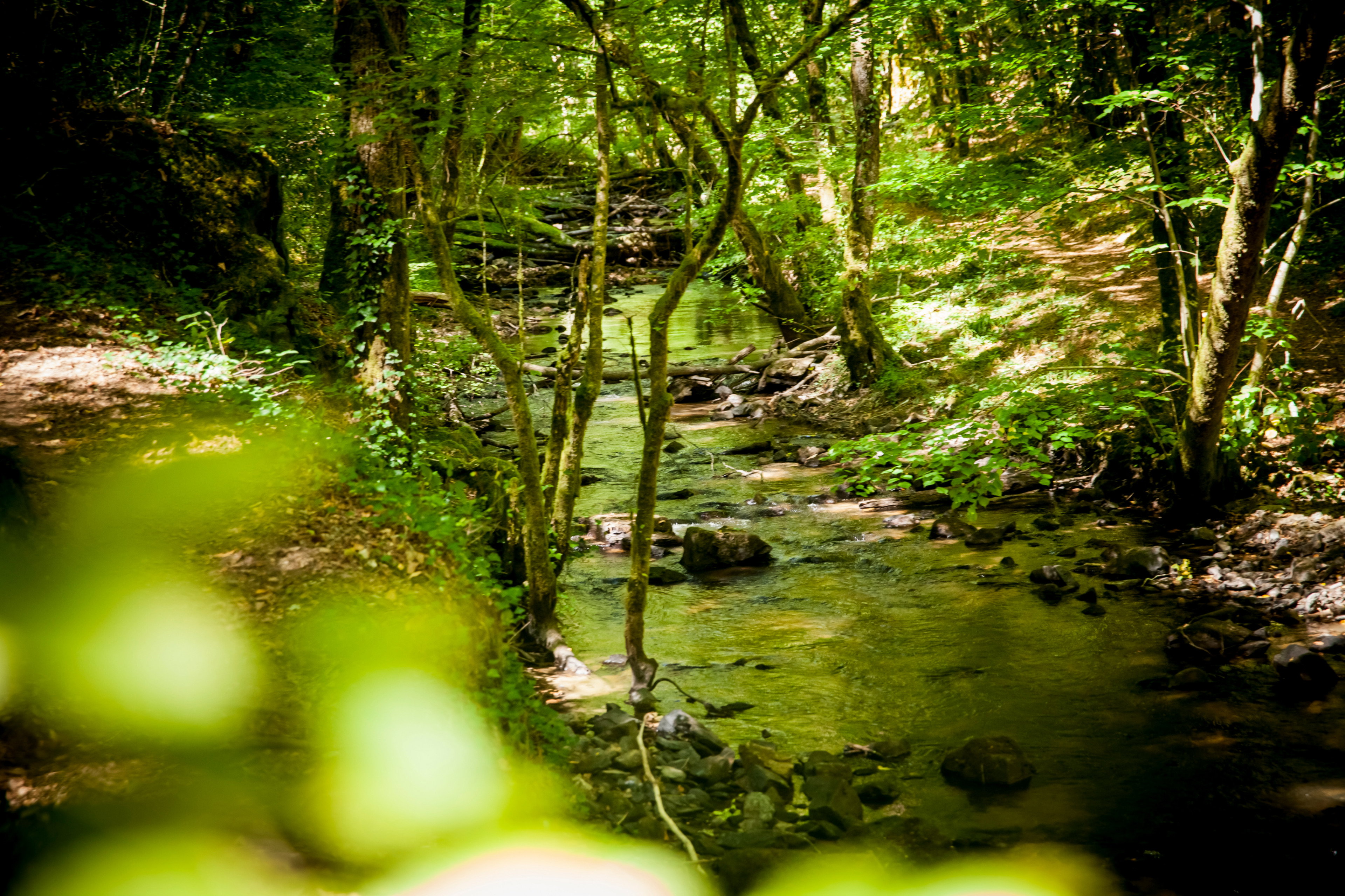 - image: 53