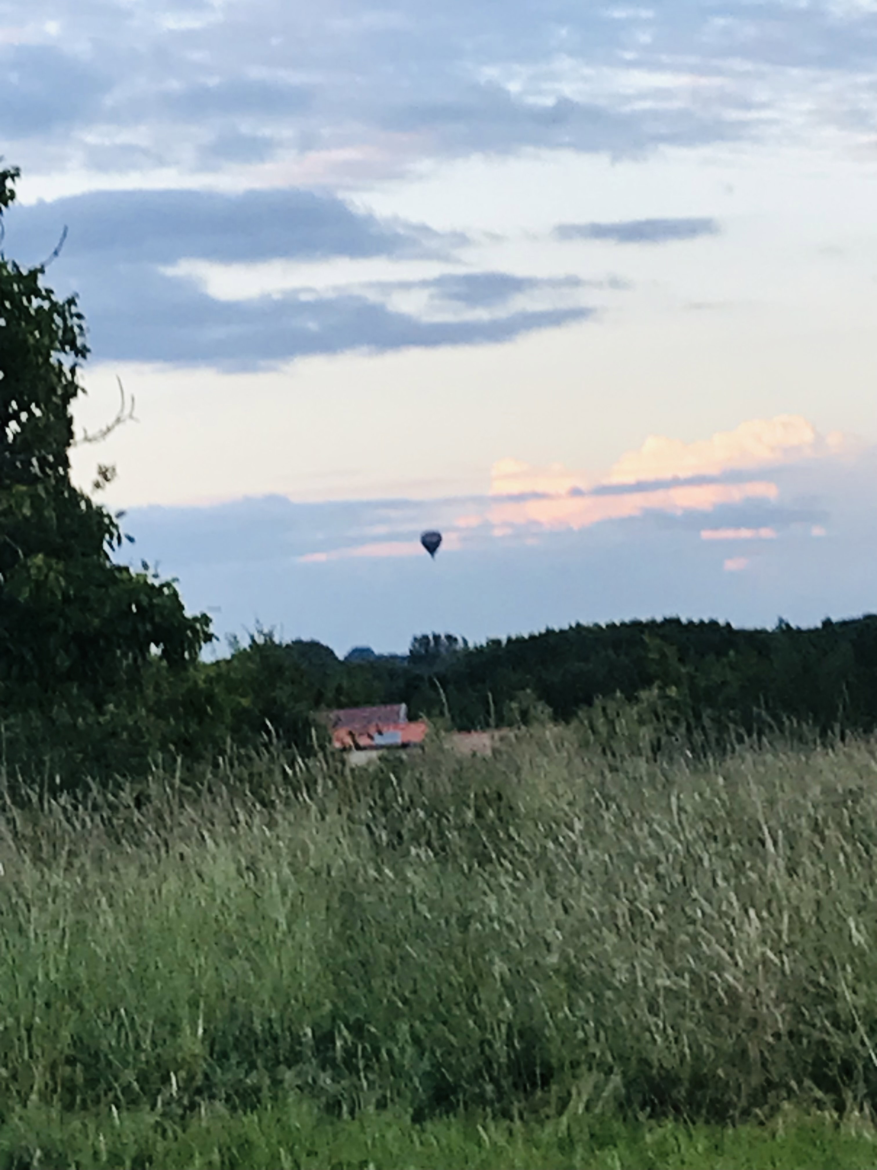 Natuurhuisje in Elzele