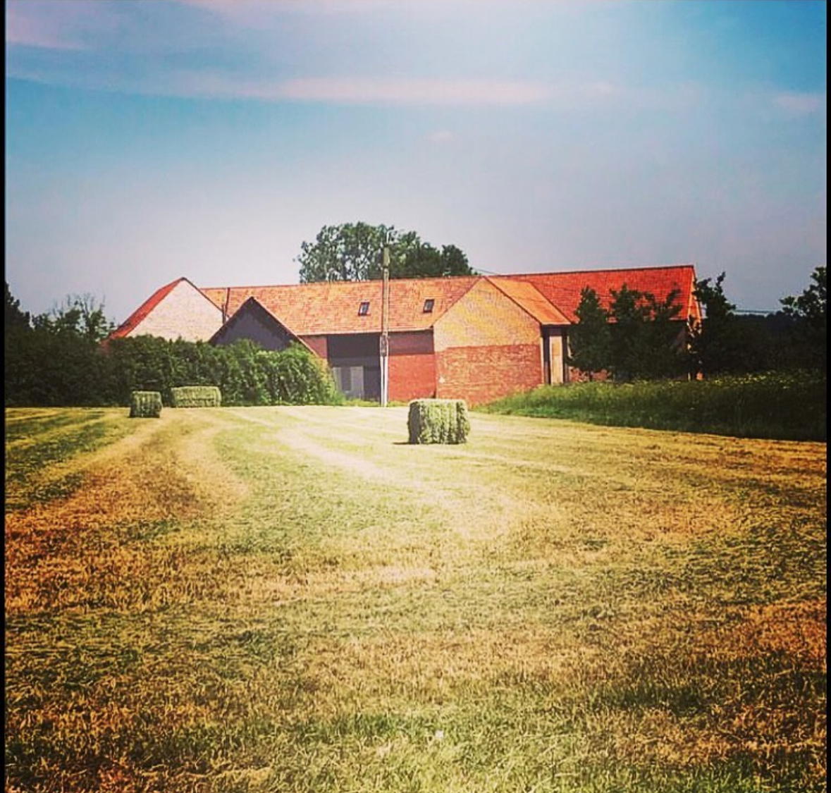 Nature house in Ellezelles