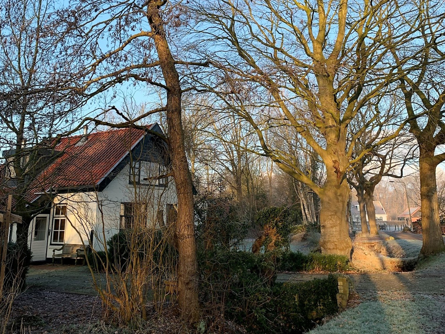 - image: 26