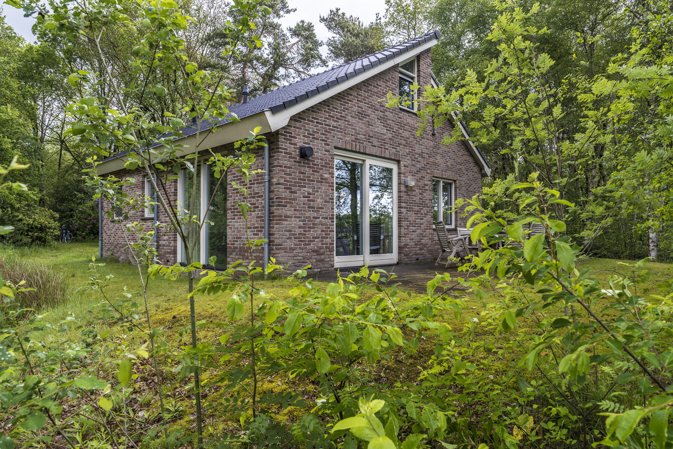 Casa nella natura a Ruinen