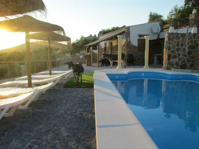 - image: 2