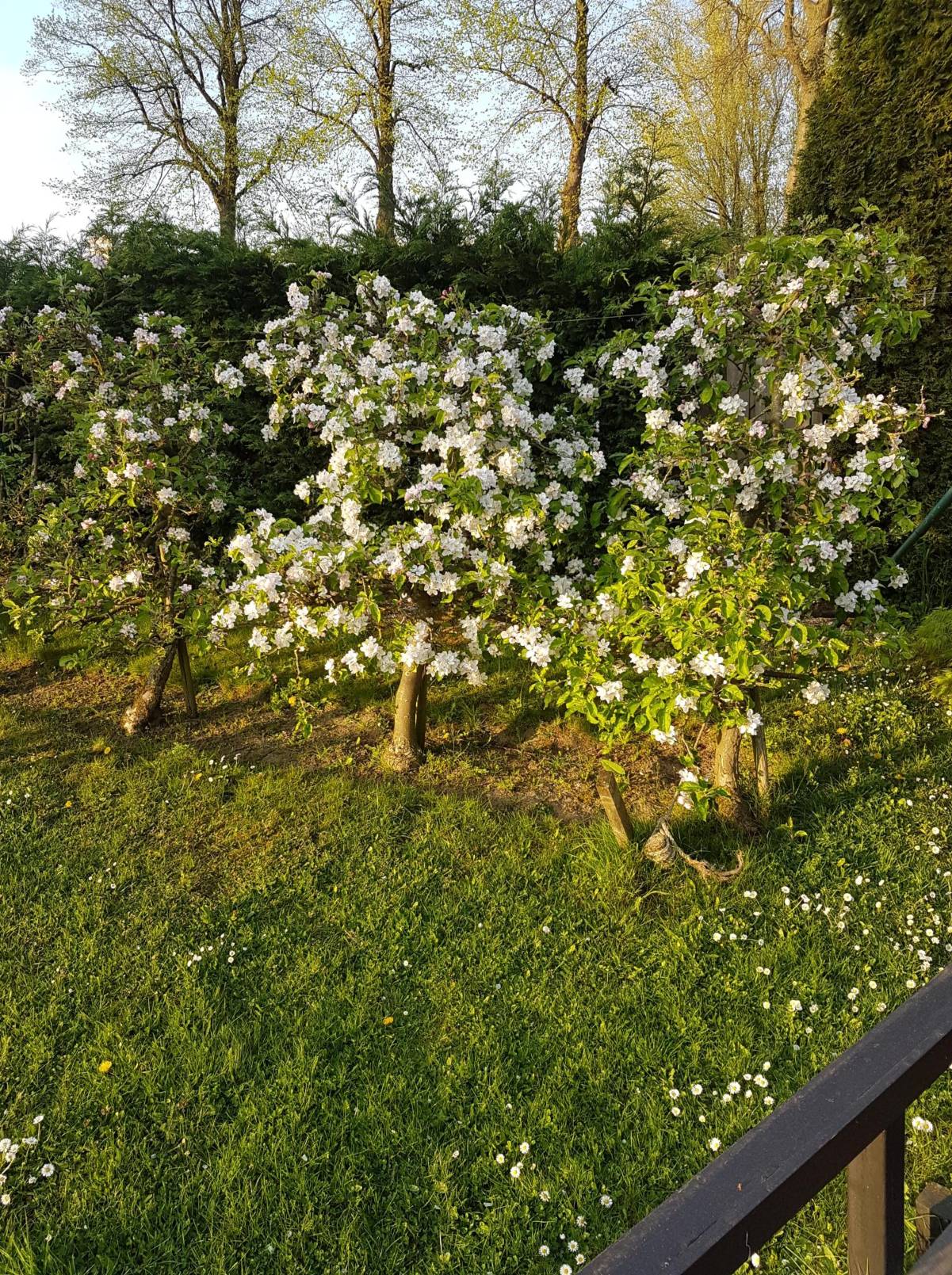 Natuurhuisje in Andel