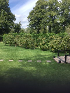 - image: 23