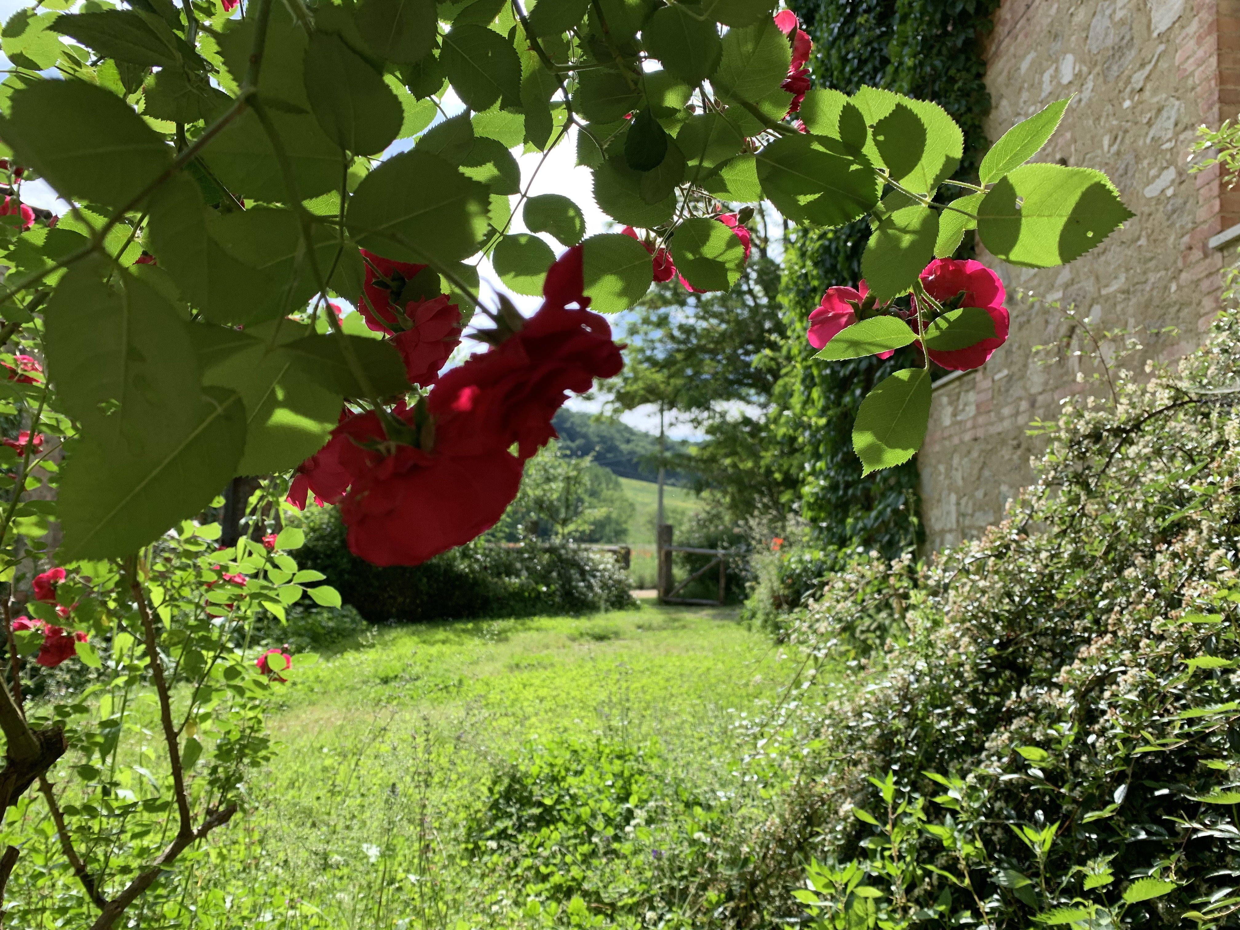 Naturhäuschen in località armaiolo