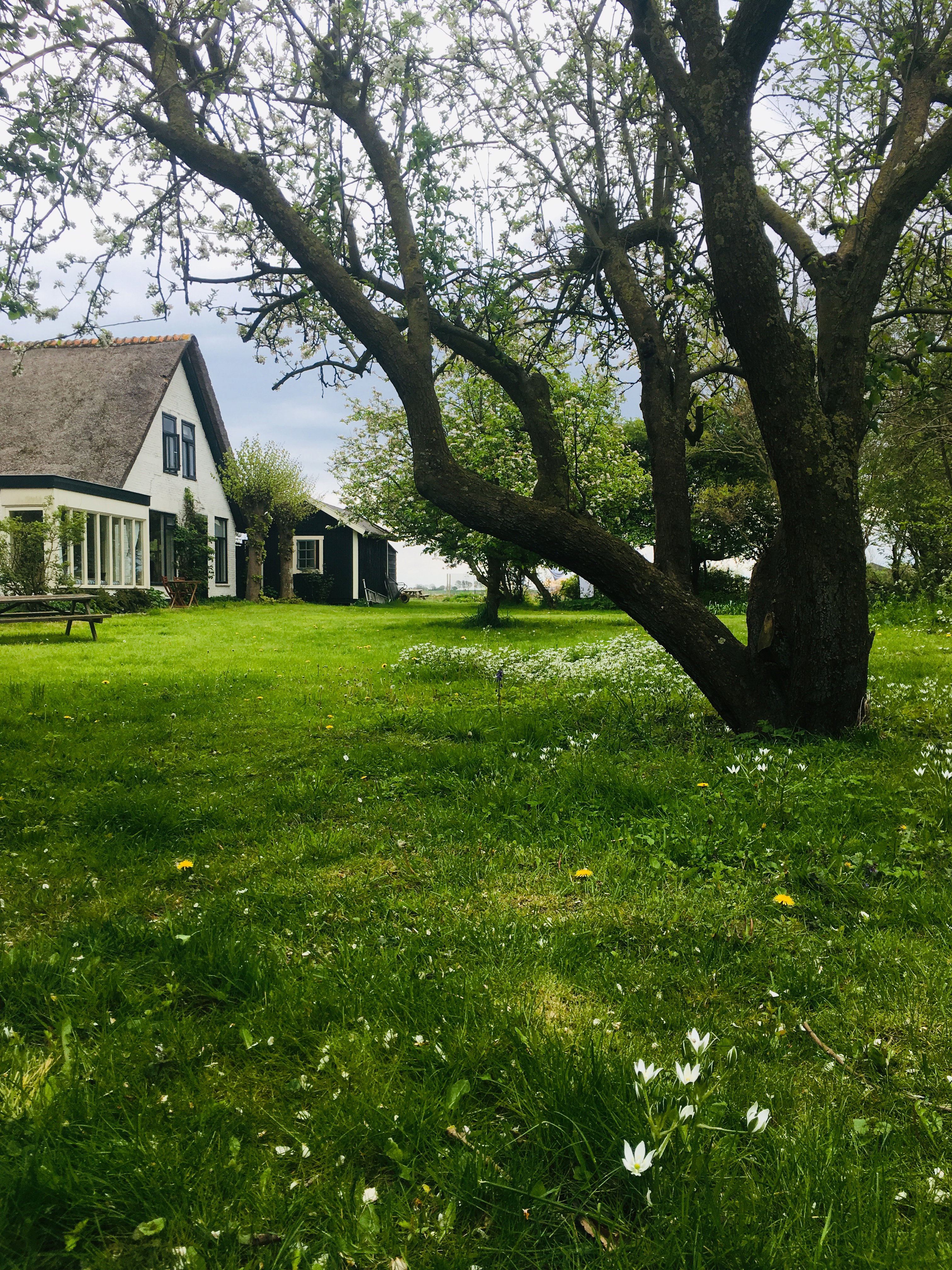 Natuurhuisje in Oosterend