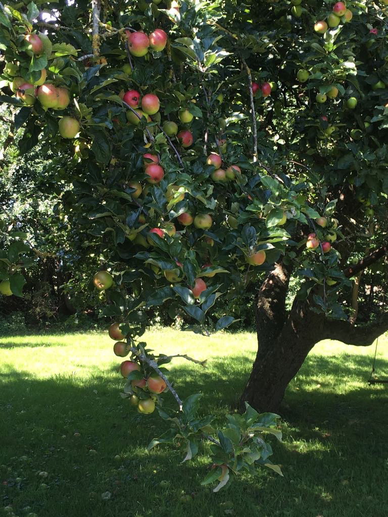 Natuurhuisje in Oosterend