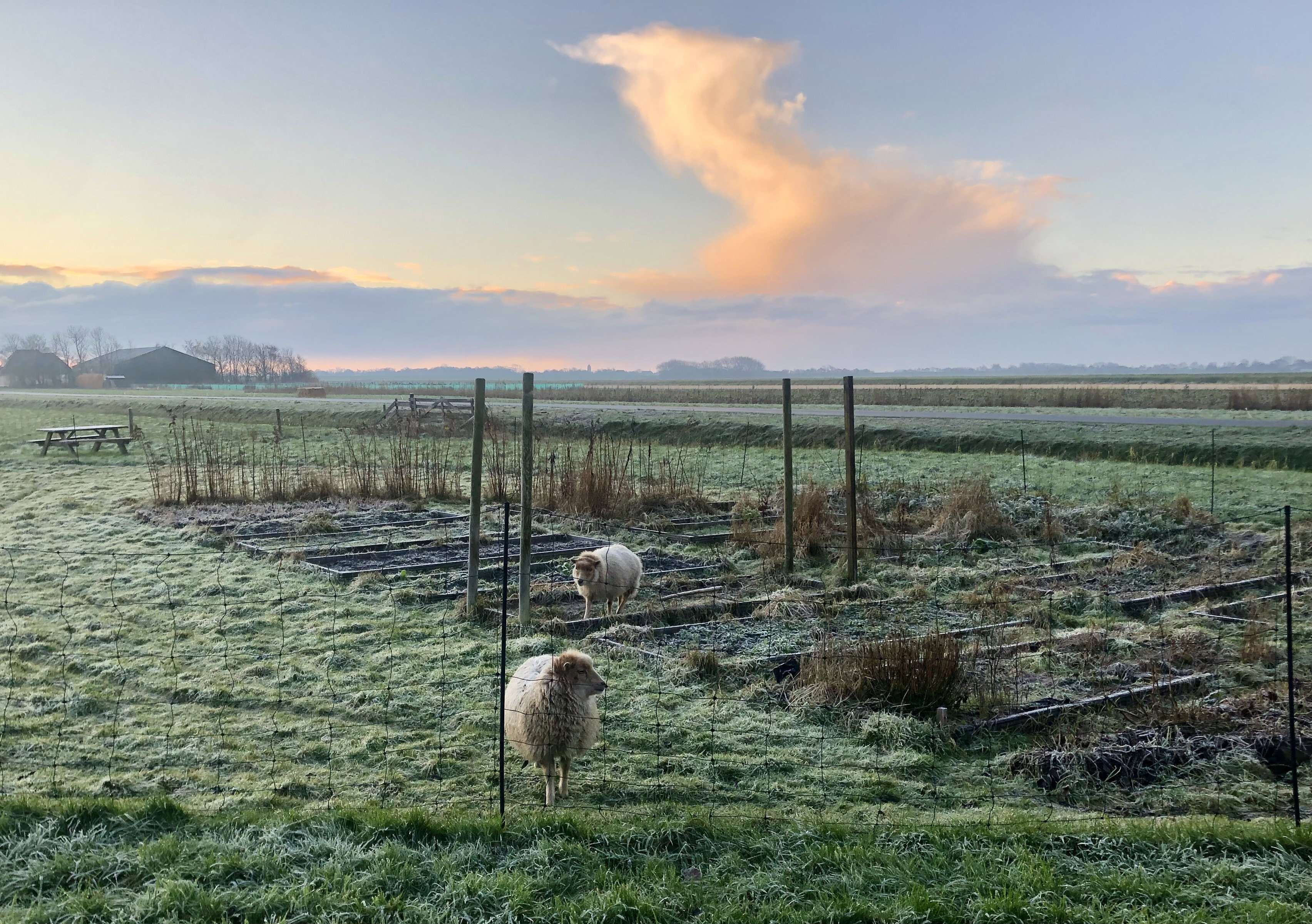 Natuurhuisje in Oosterend