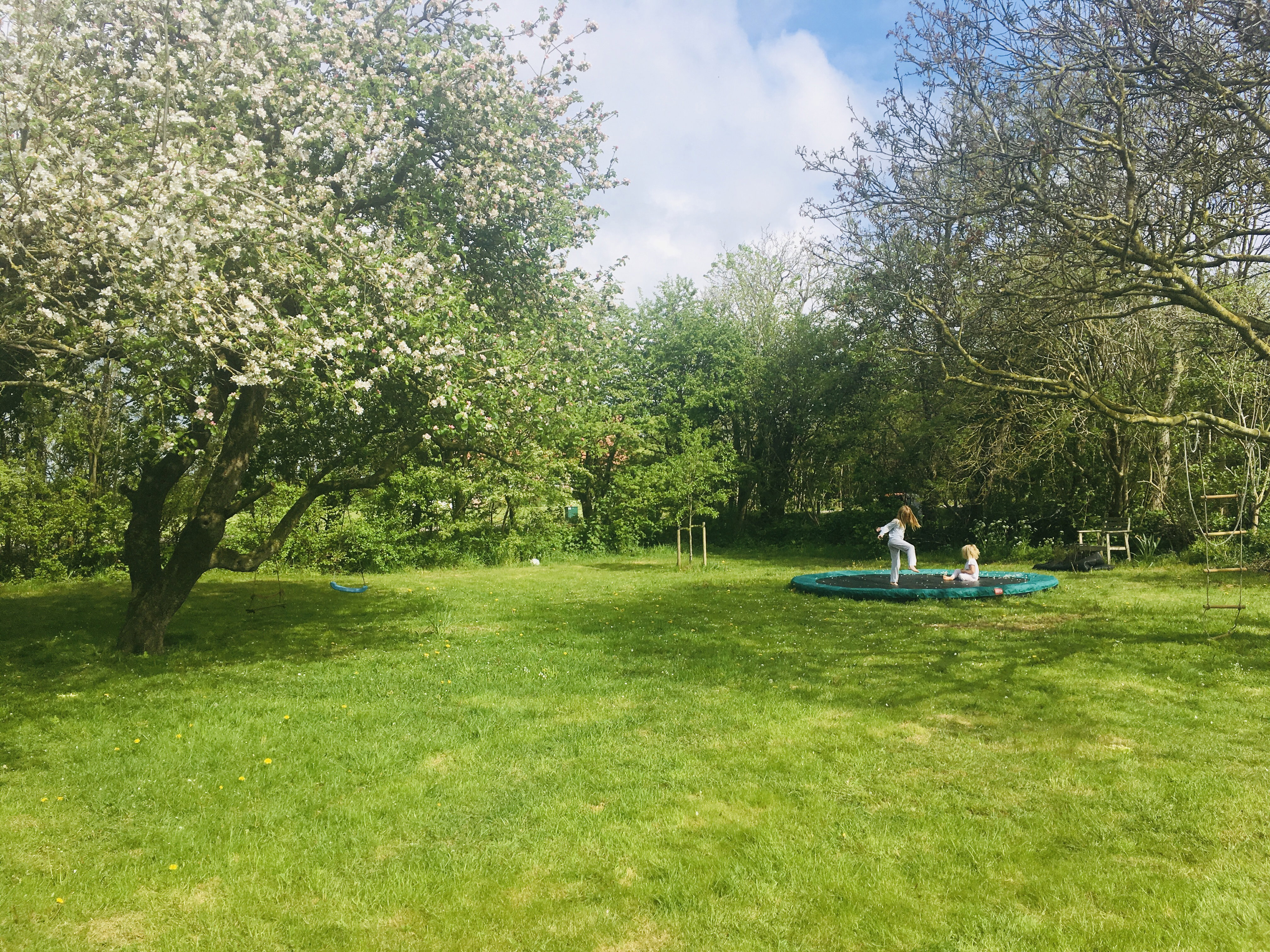 Natuurhuisje in Oosterend