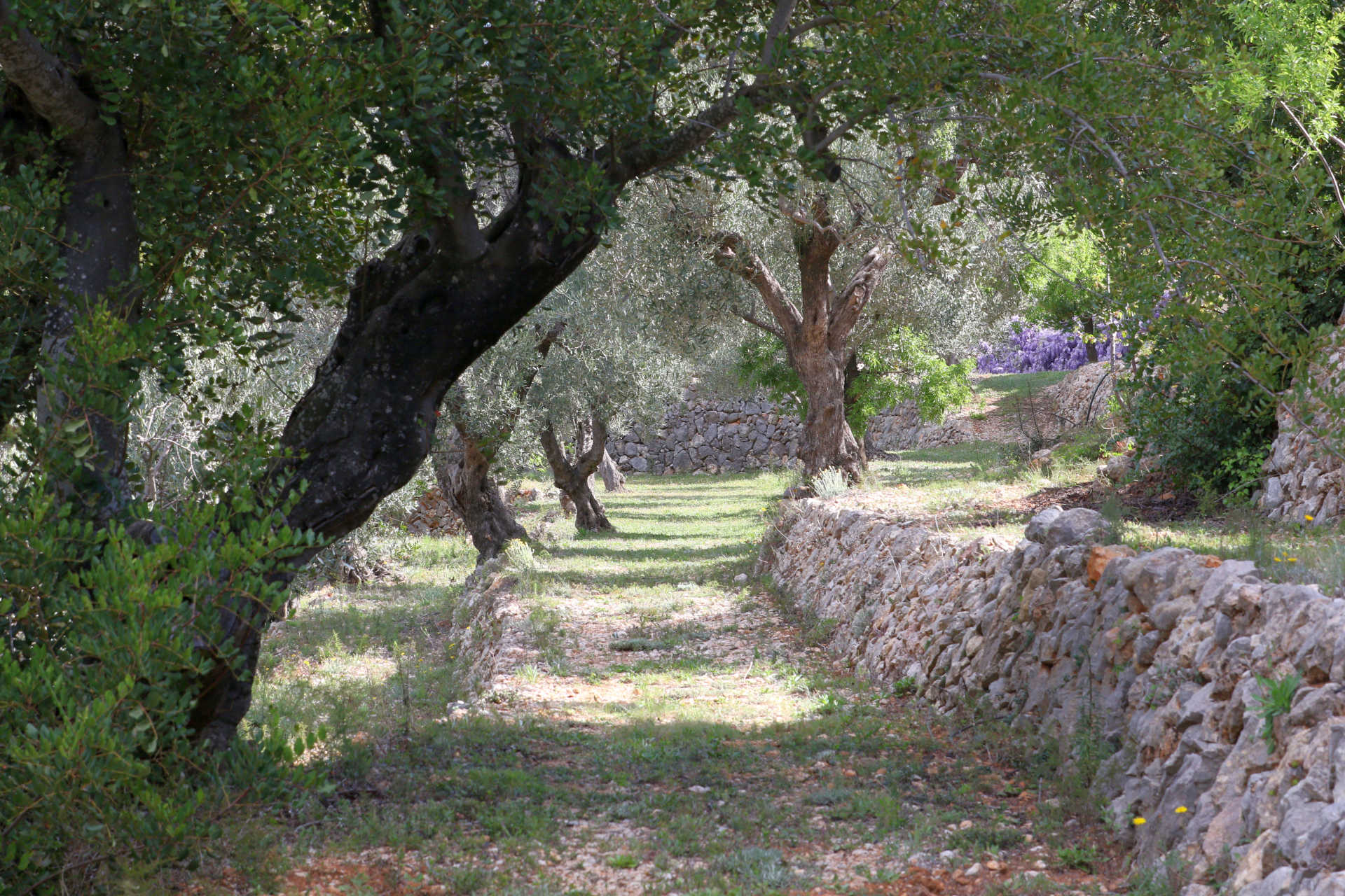 - image: 26