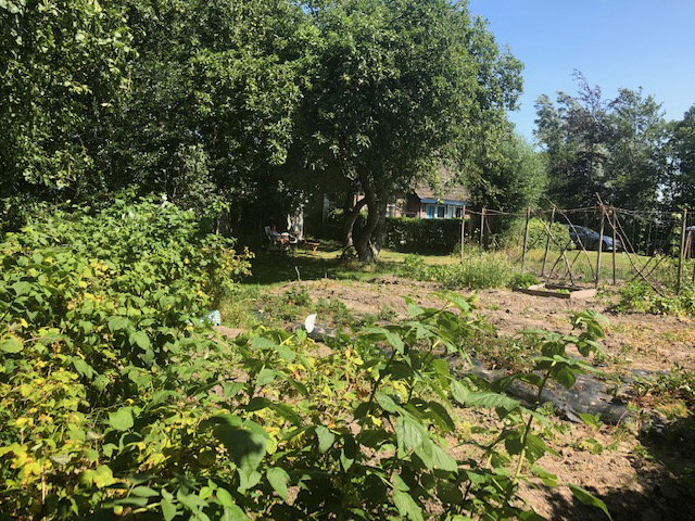 Naturhäuschen in Kollum