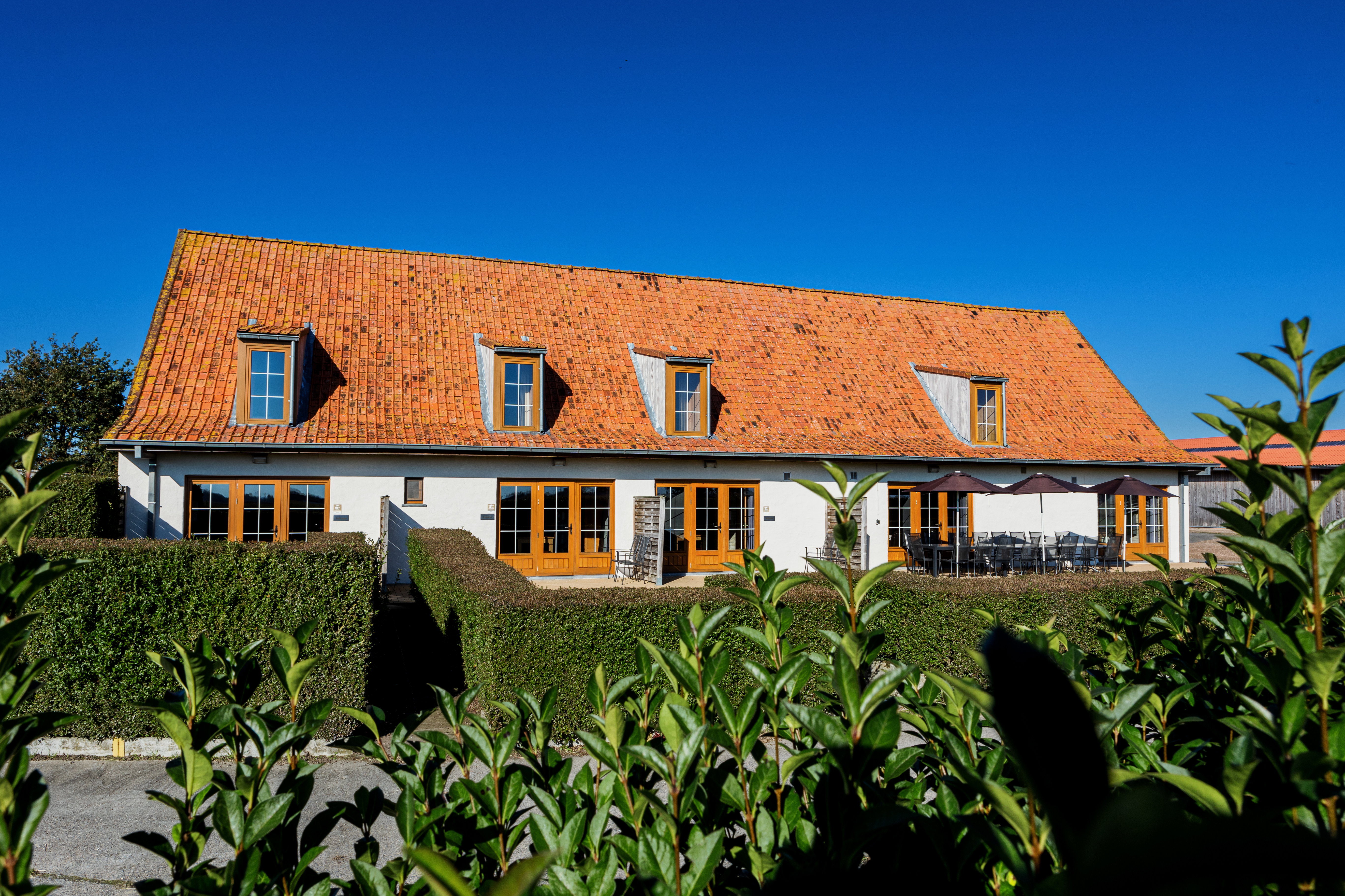 Naturhäuschen in Koekelare - Bovekerke