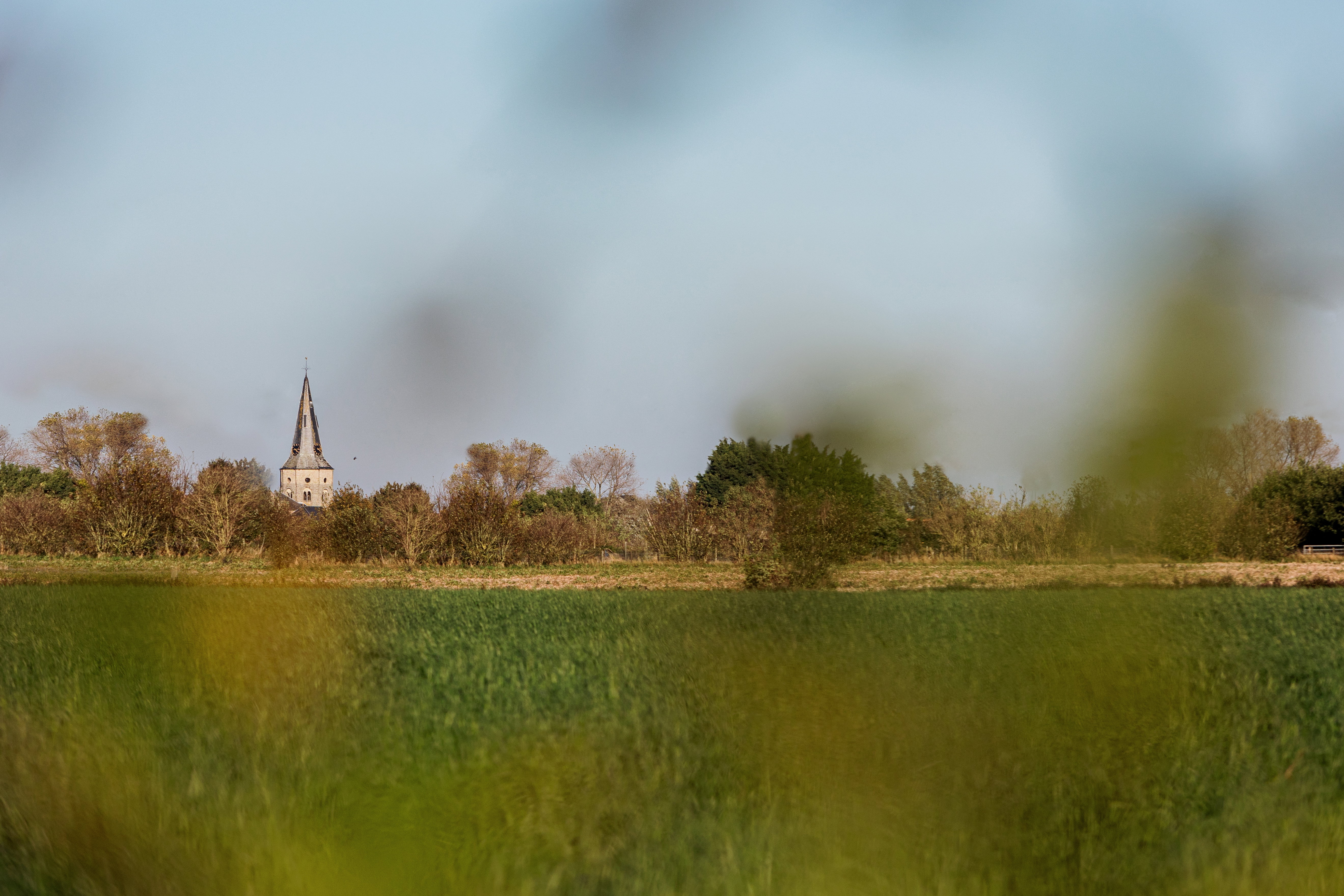 - image: 24