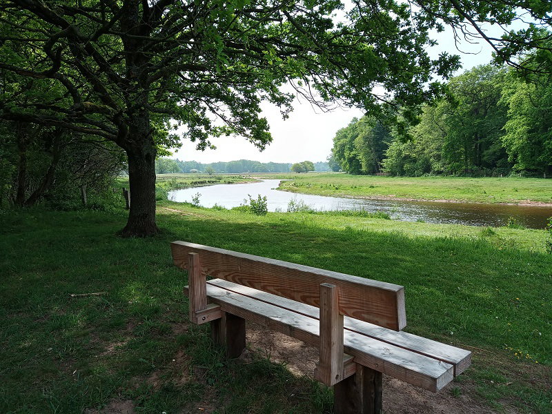 - image: 29