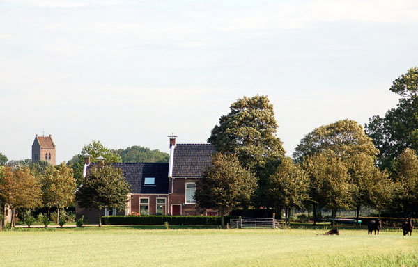 - image: 11