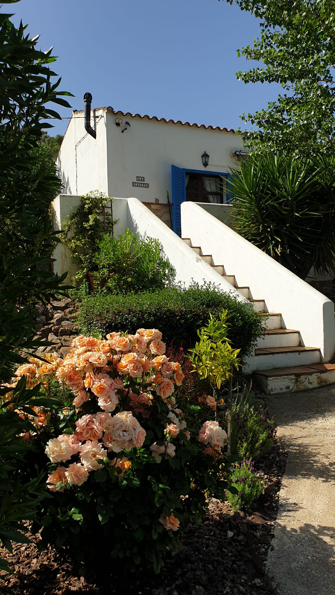- image: 11