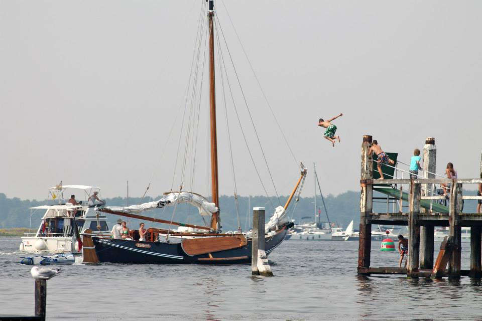 Natuurhuisje in Geersdijk