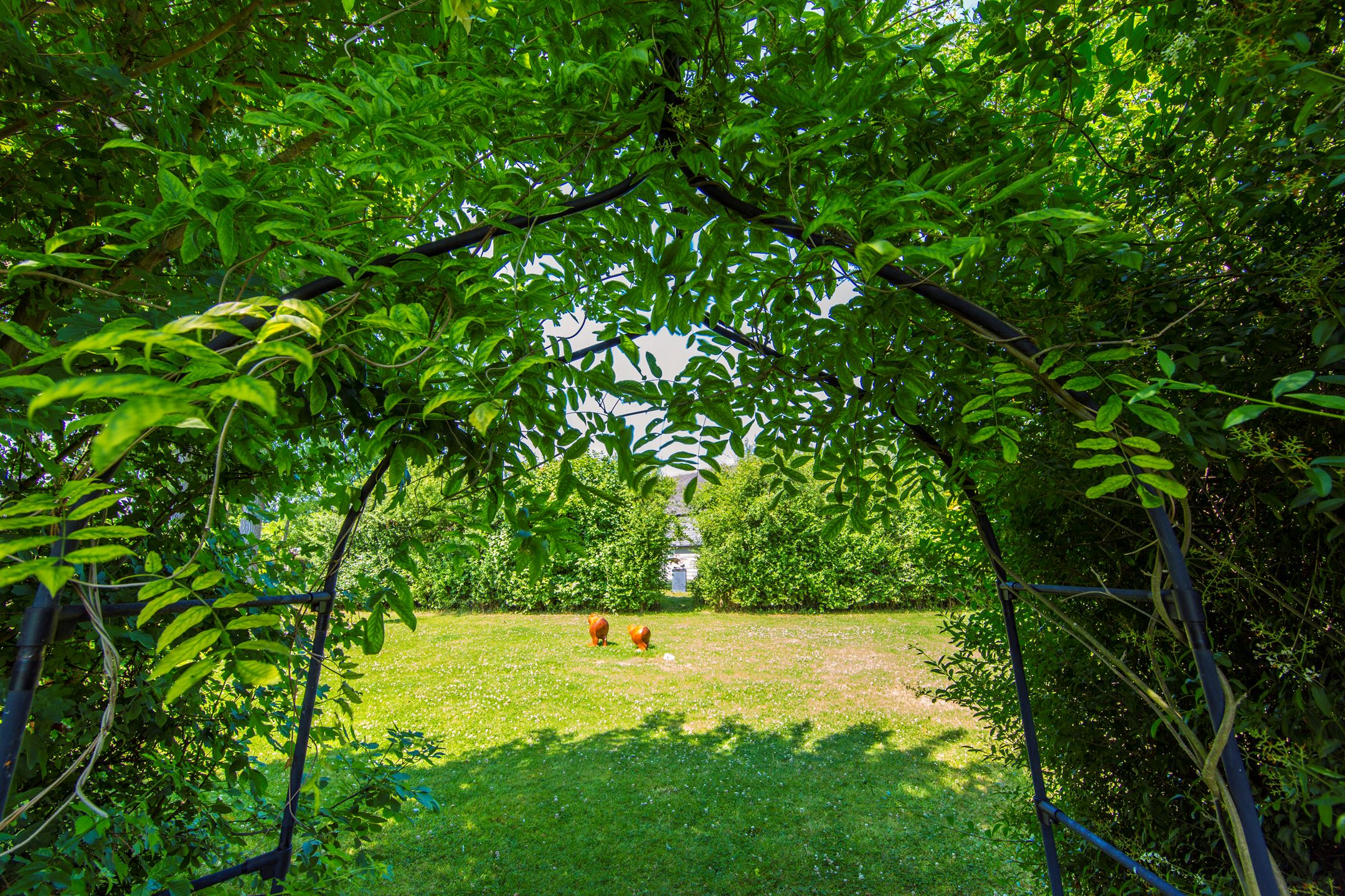 Natuurhuisje in Geersdijk