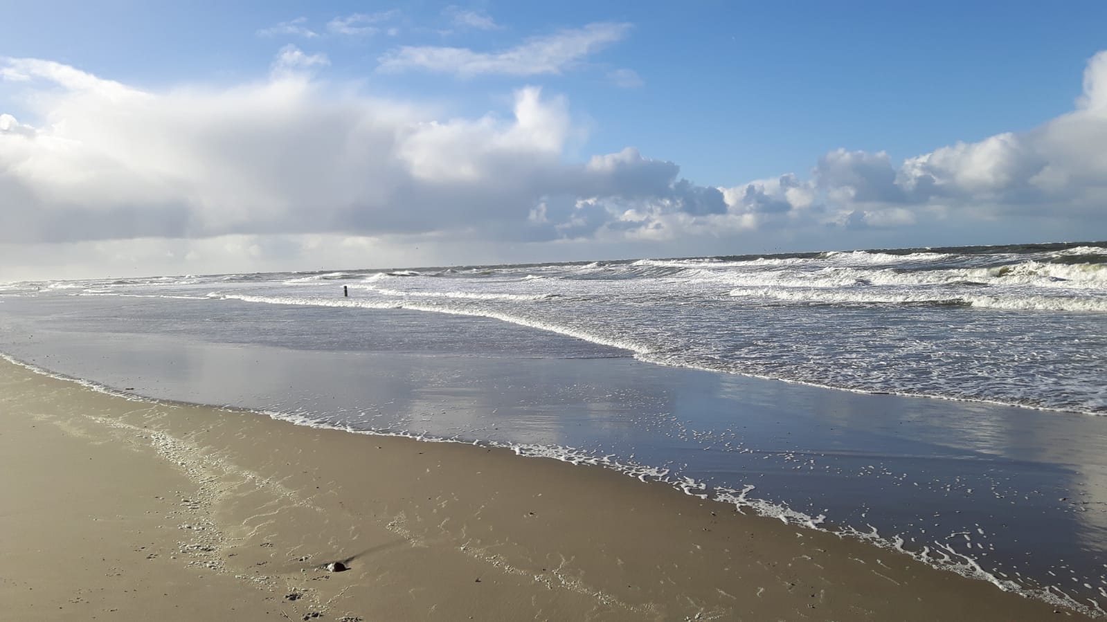 Natuurhuisje in Geersdijk