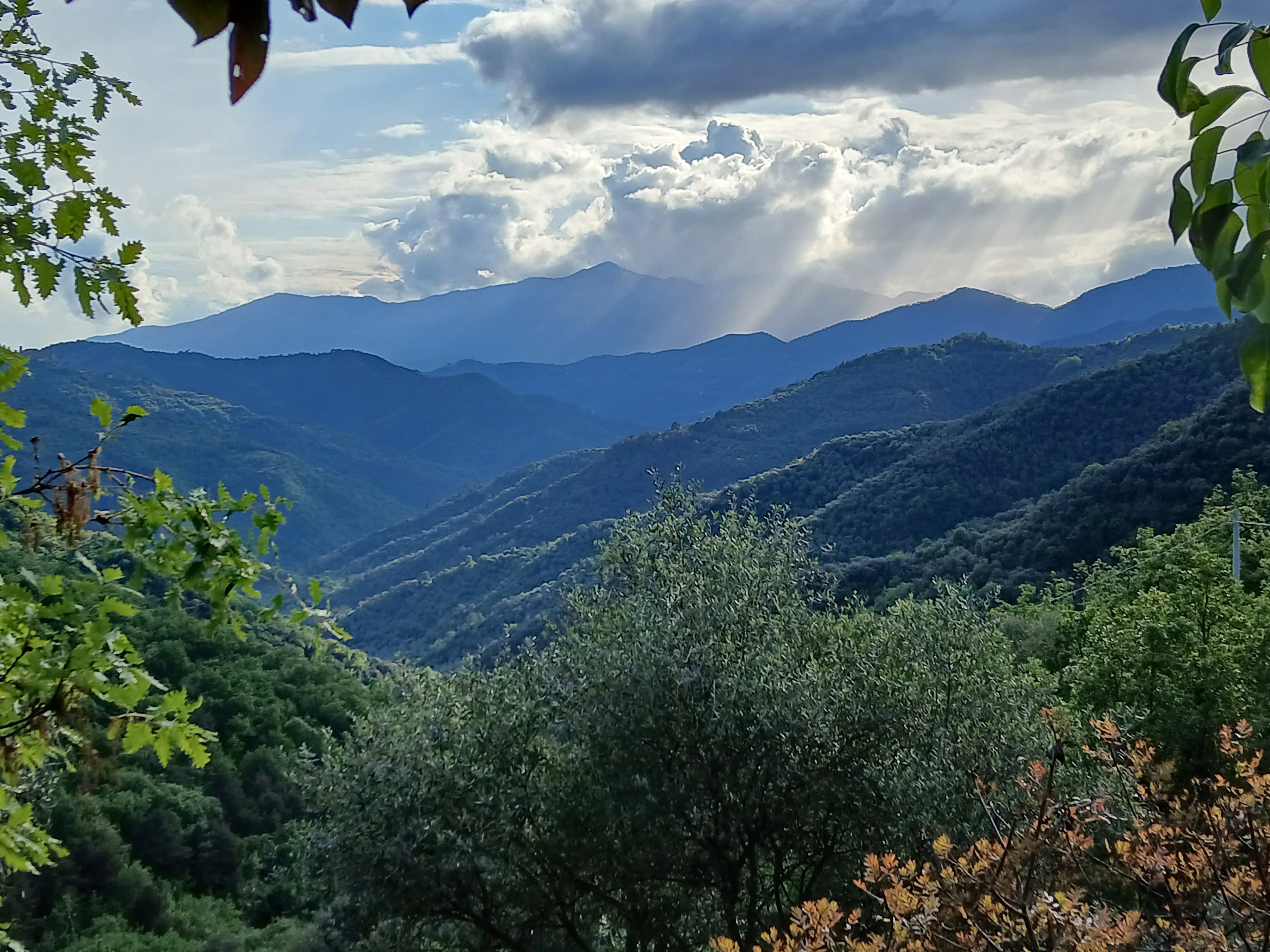 - image: 43