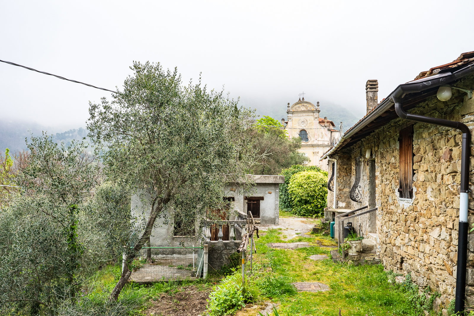 - image: 74