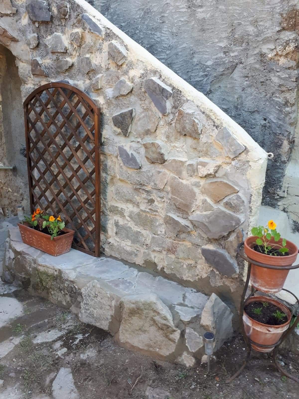 - image: 25