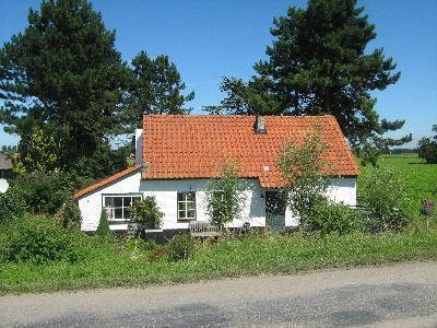- image: 2
