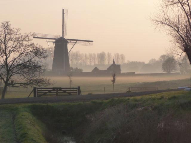 - image: 19